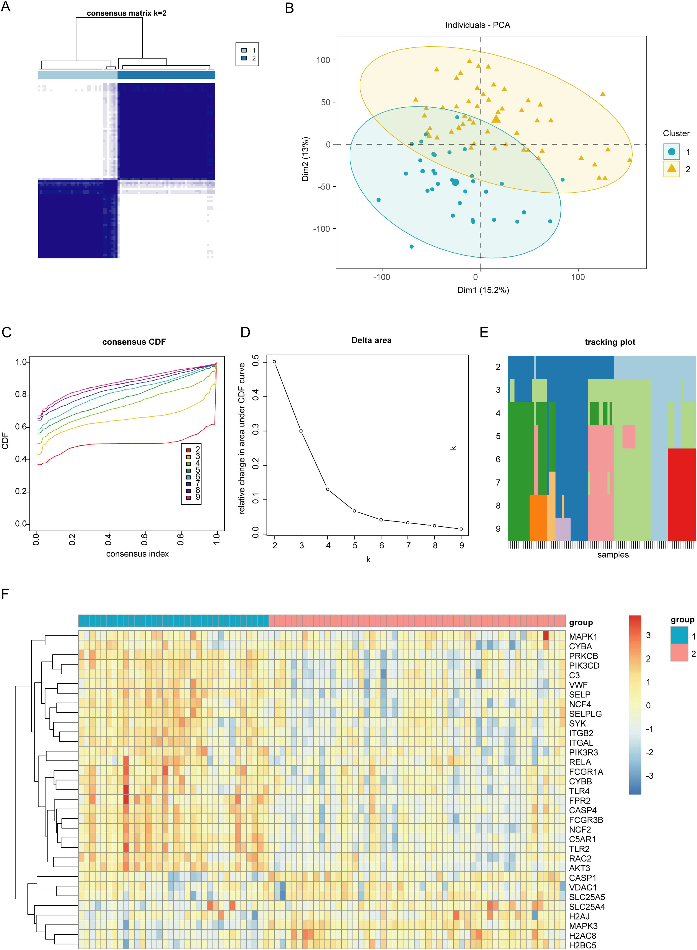 Diagram showcasing multiple subfigures related to consensus clustering and principal component analysis (PCA). A) Consensus matrix for k=2 visualizes clustering stability. B) PCA plot with two clusters; cluster 1 in blue and cluster 2 in yellow. C) Consensus cumulative distribution functions (CDF) for various k values. D) Delta area plot showing relative change in area under CDF curve for different k values. E) Tracking plot visualizes sample cluster assignments. F) Heatmap demonstrating gene expression, grouped by consensus clusters with color-coded bar for groups.