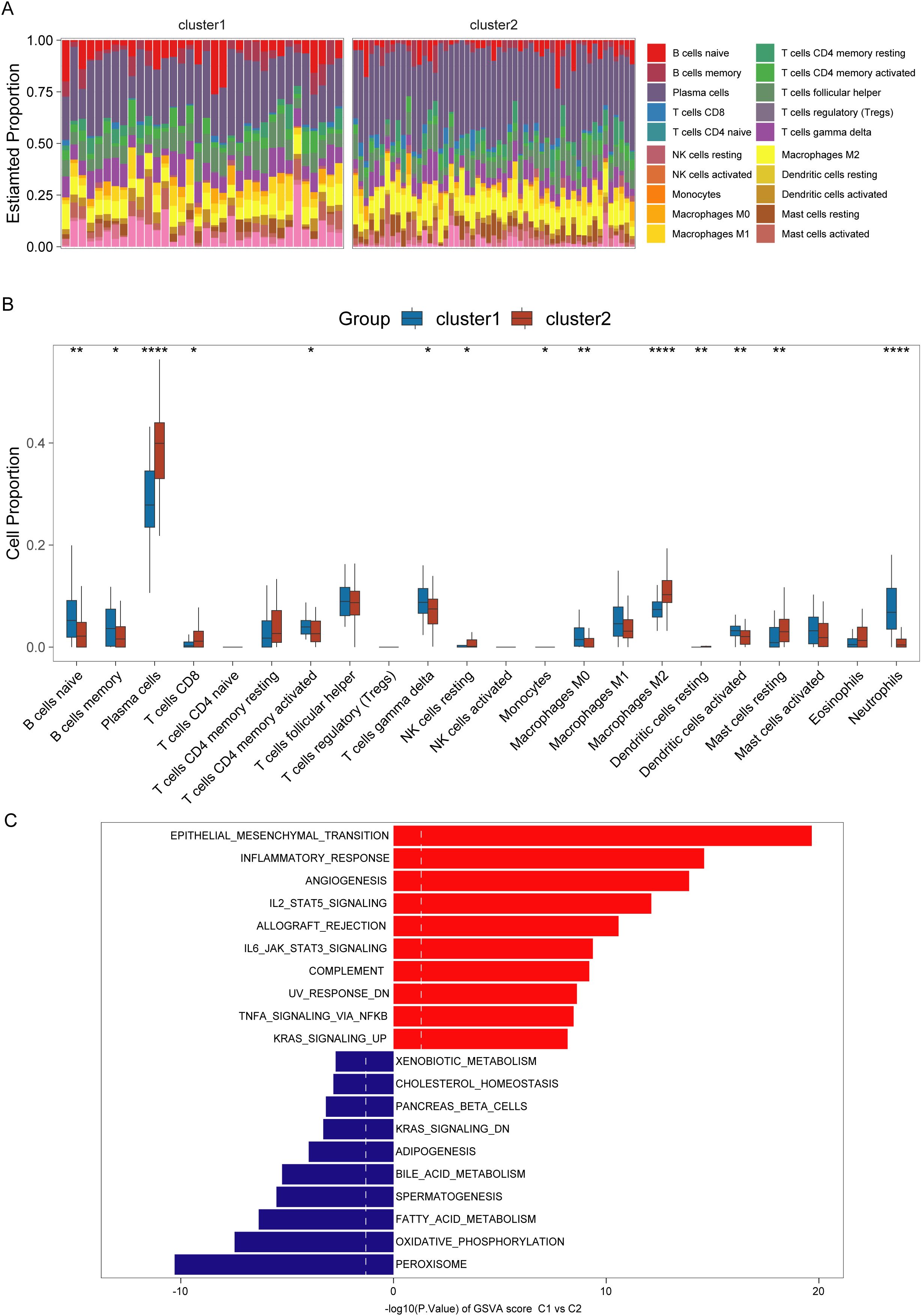 A. Stacked bar chart showing estimated proportions of various immune cell types within two clusters. B. Box plots comparing cell proportions between clusters 1 and 2, highlighting significant differences marked by asterisks. C. Bar chart illustrating pathway activity differences with positive and negative GSVA scores, comparing pathways upregulated in each cluster.