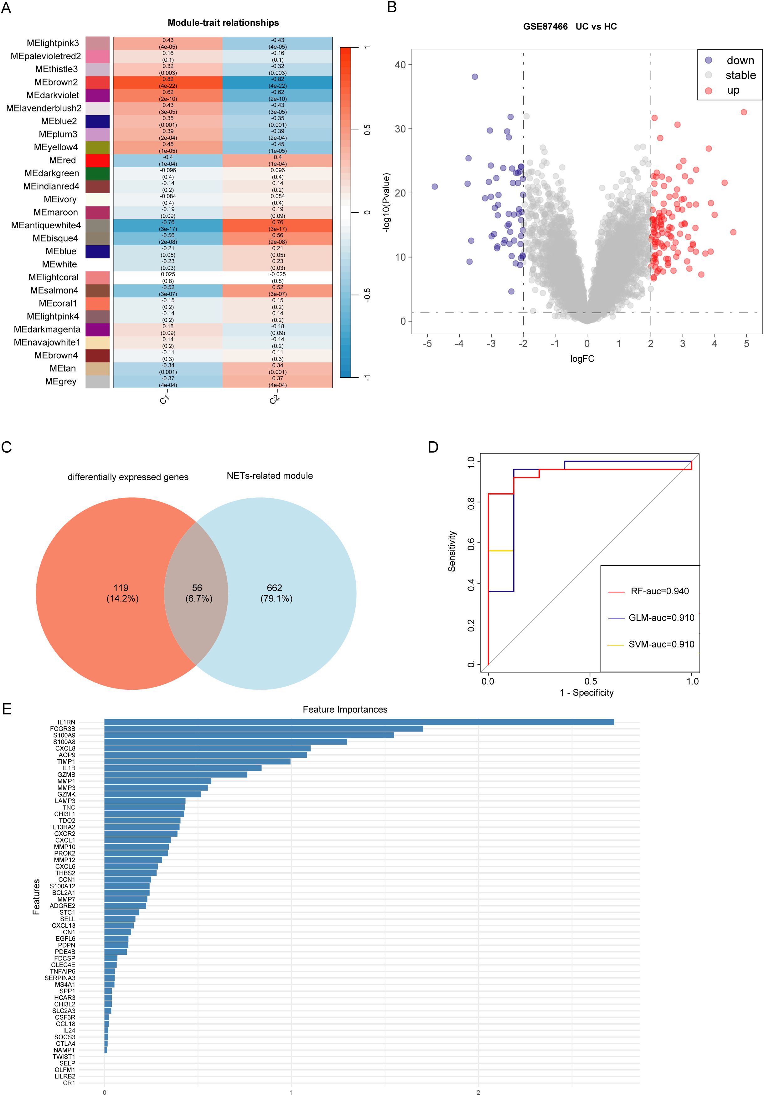 Panel A is a heatmap showing module-trait relationships with varying correlations. Panel B is a volcano plot displaying gene expression changes between UC and HC, with up, stable, and downregulated genes. Panel C is a Venn diagram comparing differentially expressed genes and NETs-related modules. Panel D is a ROC curve comparing the performance of three models, with RF having the highest AUC of 0.940. Panel E is a bar graph indicating feature importances for various genes, with IL-1RN having the highest value.