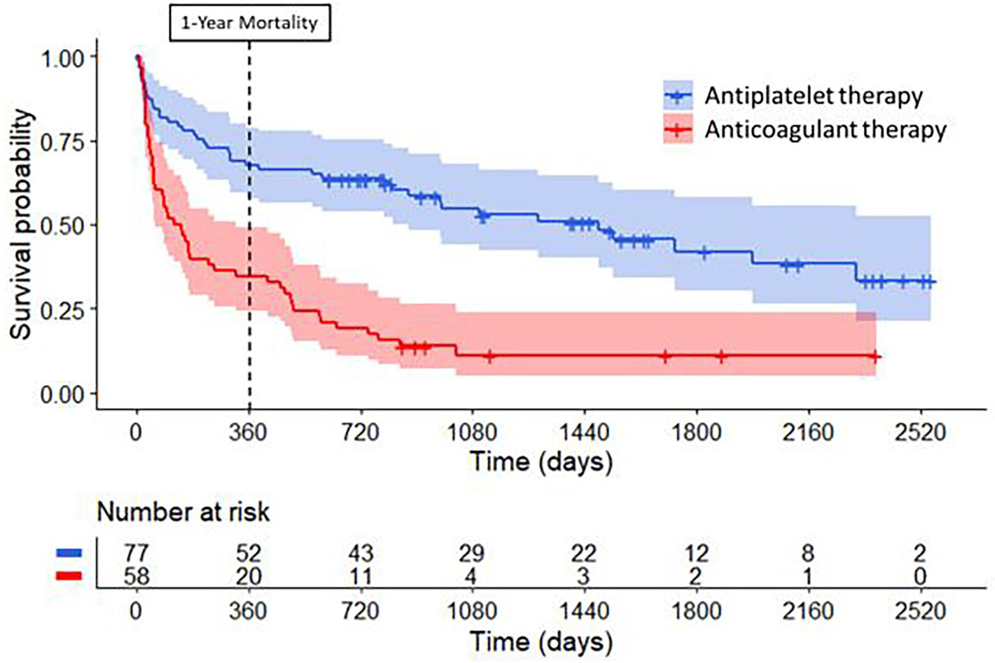 Kaplan-Meier survival curves compare survival probabilities over time for two therapies: antiplatelet (blue) and anticoagulant (red). Antiplatelet therapy shows higher survival probabilities. A dashed line marks one-year mortality. Below, the number at risk is reported for different time points.