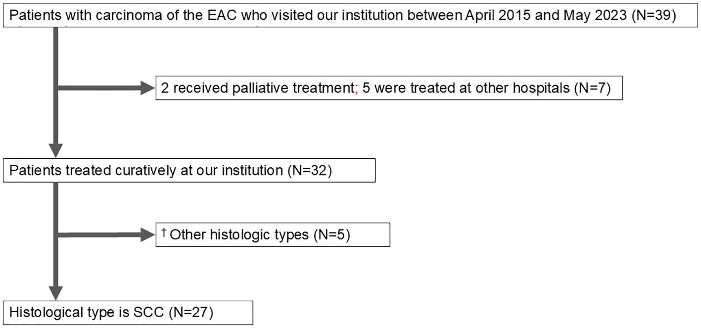 Flowchart showing patients with carcinoma of the external auditory canal from April 2015 to May 2023. Total patients: 39. Seven received other treatments, and 32 were treated curatively at the institution. Of those, 5 had other histologic types, and 27 had squamous cell carcinoma.
