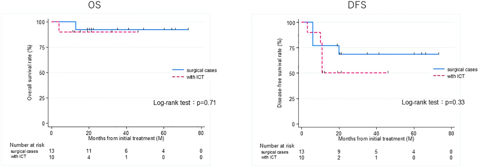 Two Kaplan-Meier survival plots comparing overall survival (OS) and disease-free survival (DFS) rates between surgical cases (blue line) and cases with induction chemotherapy (ICT, red dashed line). Both graphs have time in months on the x-axis. In the OS plot, the log-rank test p-value is 0.71, indicating no significant difference. The DFS plot has a log-rank test p-value of 0.33, also indicating no significant difference. The number at risk is listed below each graph, showing decreasing numbers over time.