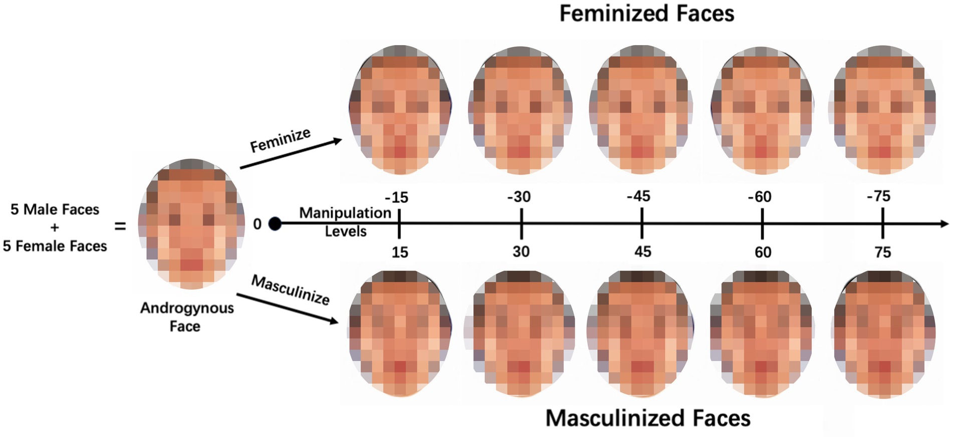 www.frontiersin.org