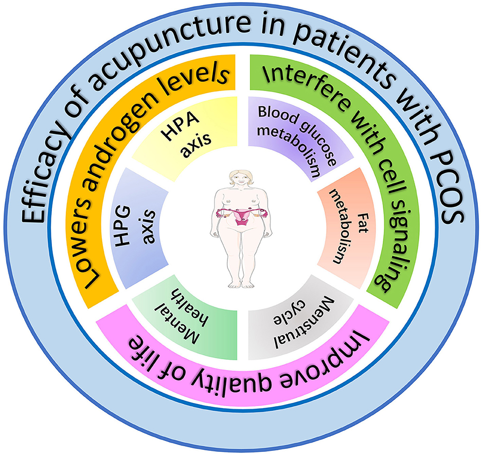 Diagram illustrating the efficacy of acupuncture in patients with PCOS. It highlights three main benefits: lowering androgen levels, interfering with cell signaling, and improving quality of life. The inner circles detail effects on HPA and HPG axes, mental health, blood glucose metabolism, fat metabolism, and menstrual cycle, centered around a silhouette of a person with annotated acupuncture points.
