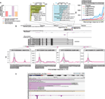 www.frontiersin.org