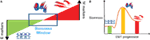 www.frontiersin.org