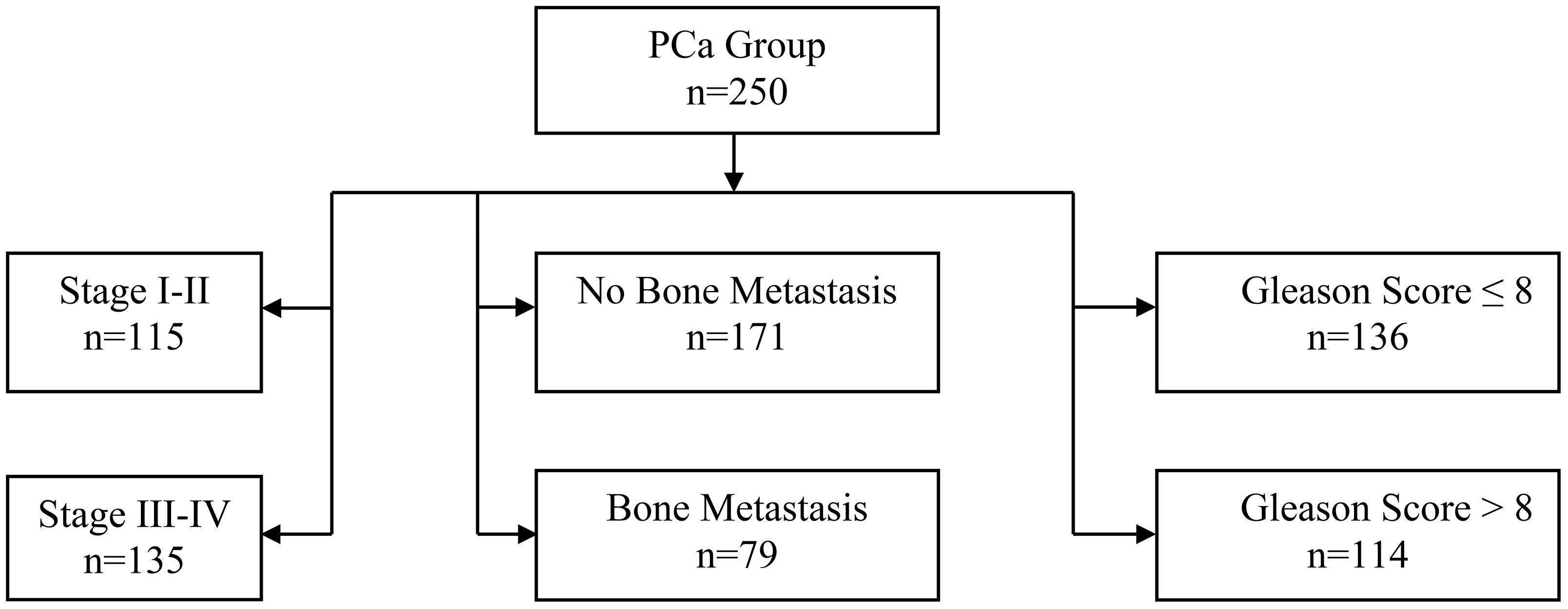 Flowchart of a prostate cancer group with 250 participants. It splits into stage I-II with 115 and stage III-IV with 135. Another division shows 171 with no bone metastasis and 79 with bone metastasis. A further division indicates a Gleason score of eight or less for 136 and greater than eight for 114.