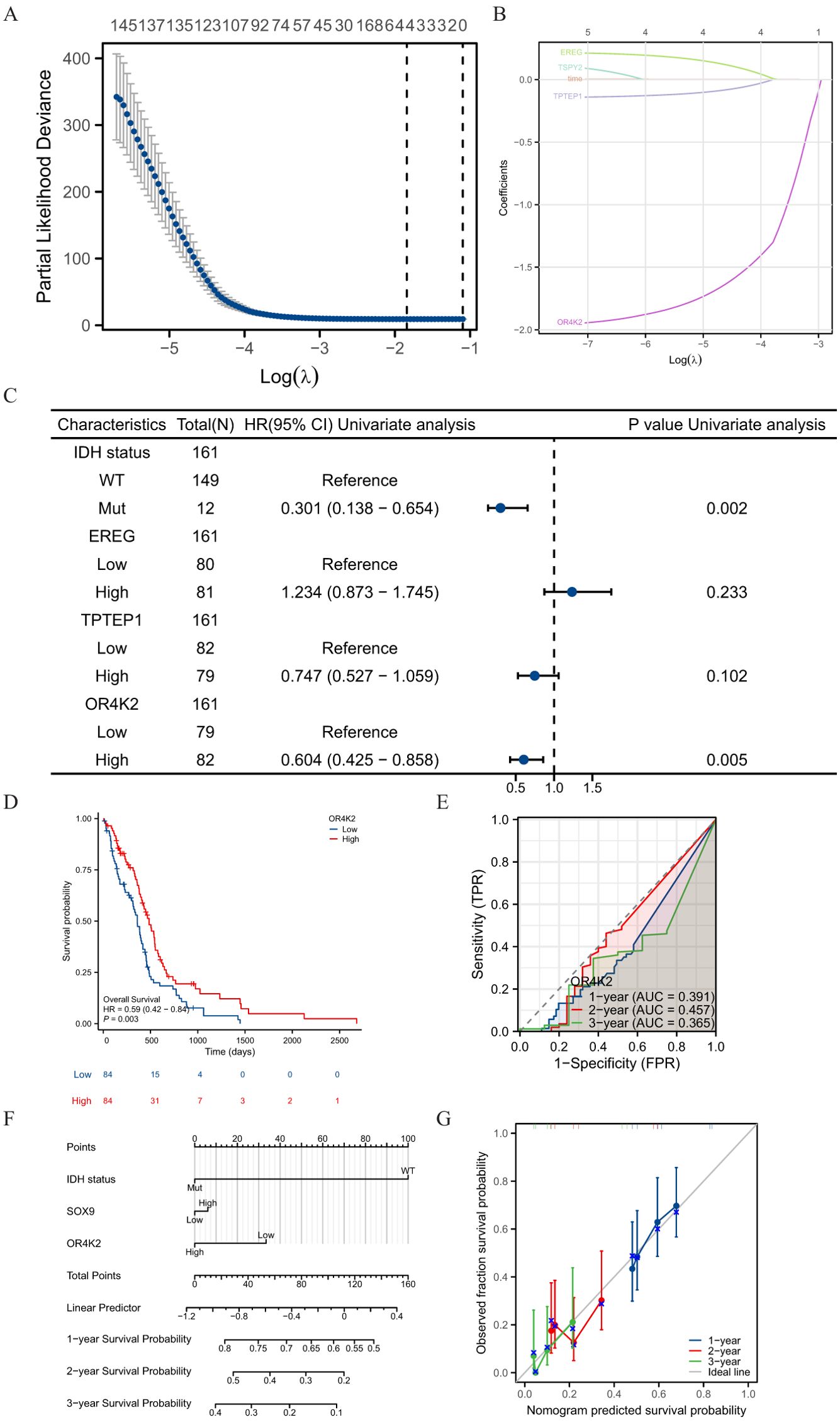 A set of seven panels depicting various statistical analyses: A. A plot showing partial likelihood deviance against log(lambda) with a curve indicating optimal values. B. A plot of coefficients versus log(lambda) with multiple lines representing different variables. C. A table with hazard ratios (HR) and confidence intervals for IDH status, EREG, TPTEP1, and OR4K2, with respective p-values. D. A Kaplan-Meier survival curve comparing low and high OR4K2 levels over time. E. A Receiver Operating Characteristic (ROC) curve for OR4K2 with AUC values for one, two, and three years. F. A nomogram for predicting survival probabilities based on IDH status, EREG, and OR4K2. G. A calibration plot comparing observed versus predicted survival probabilities over one, two, and three years.