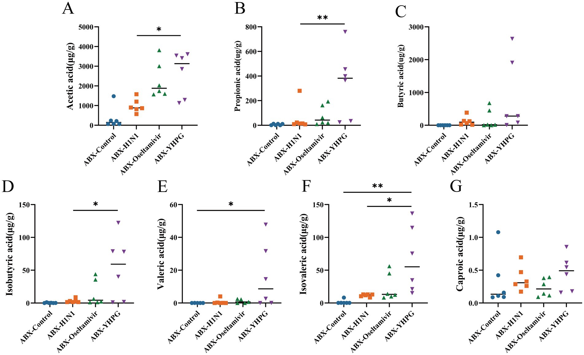 Seven scatter plots labeled A to G show the concentration of various acids: acetic, propionic, butyric, isobutyric, valeric, isovaleric, and caproic acids in different treatment groups: ABX-Control, ABX-H1N1, ABX-Oseltamivir, and ABX-YHPG. Statistical significance is indicated by asterisks, with varying concentrations across groups, highlighting differences in acid levels between treatments.