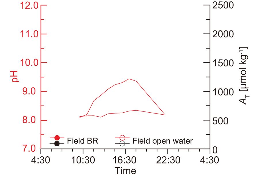 Line graph showing pH and total alkalinity (\(A_T\)) over time from 4:30 to 4:30. Red lines represent Field BR, with pH increasing from 8.0 to 11.0 and \(A_T\) peaking around 1000 \(\mu\)mol kg^{-1}\). Black lines represent Field open water, with pH decreasing from 11.0 to 8.5 and \(A_T\) around 2500 \(\mu\)mol kg^{-1}\). Data points are marked at various times.