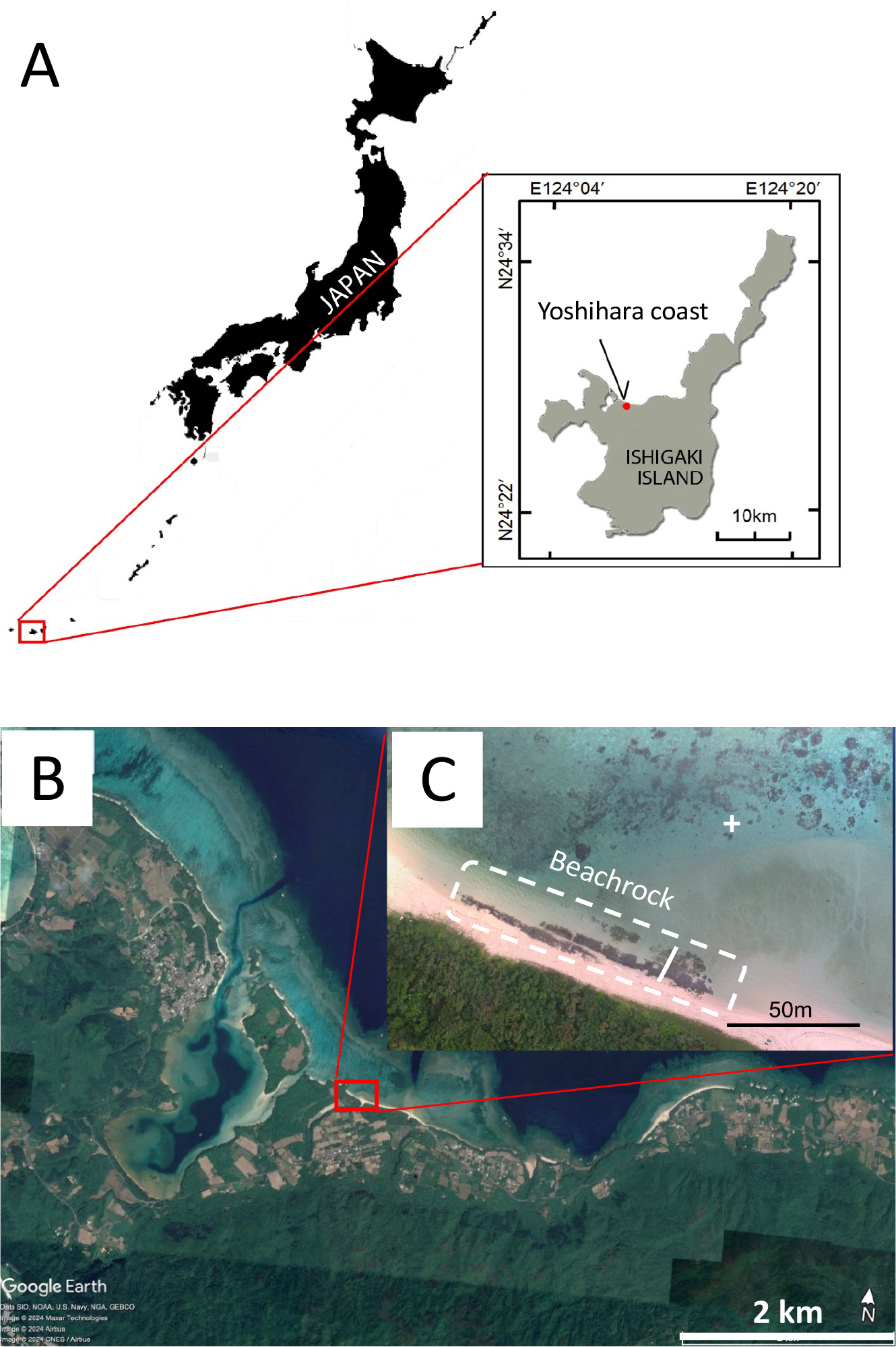 Map and satellite images showing locations on Ishigaki Island, Japan. In panel A, a map highlights the Ishigaki Island location with a focus on the Yoshihara coast. Panel B shows a satellite view of the coastal area, and panel C zooms in on a section marked as beackrock. Scales indicate distances of ten kilometers, fifty meters, and two kilometers respectively.