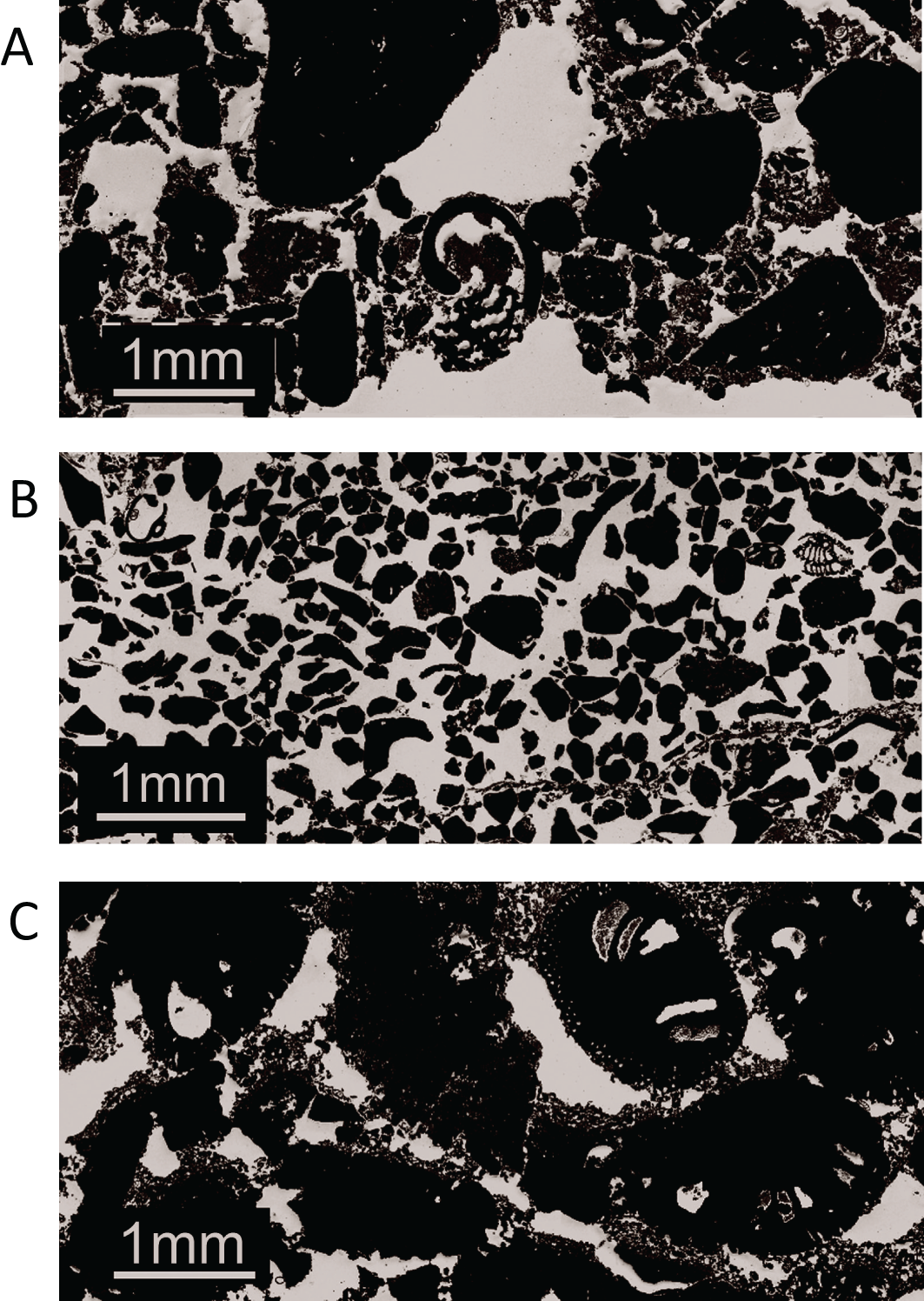Three grayscale microscopic images labeled A, B, and C show different textures and compositions of a material at a 1 millimeter scale. Image A features large and irregular particles with some circular structures. Image B displays smaller, more uniformly packed particles. Image C contains large, scattered, irregular shapes with multiple voids.