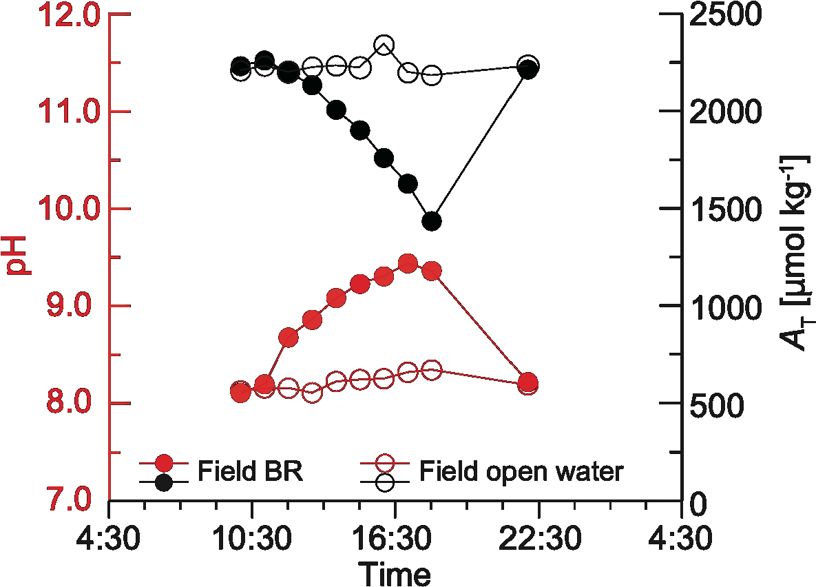 Graph showing pH and total alkalinity (A_T) over time for two fields: BR and open water. pH (red, left y-axis) ranges from 7.0 to 12.0; A_T (black, right y-axis) ranges from 0 to 2500 micromoles per kilogram. Data is plotted for times from 4:30 to 4:30 the following day. Field BR shows a rising and falling trend, whereas open water remains relatively stable.
