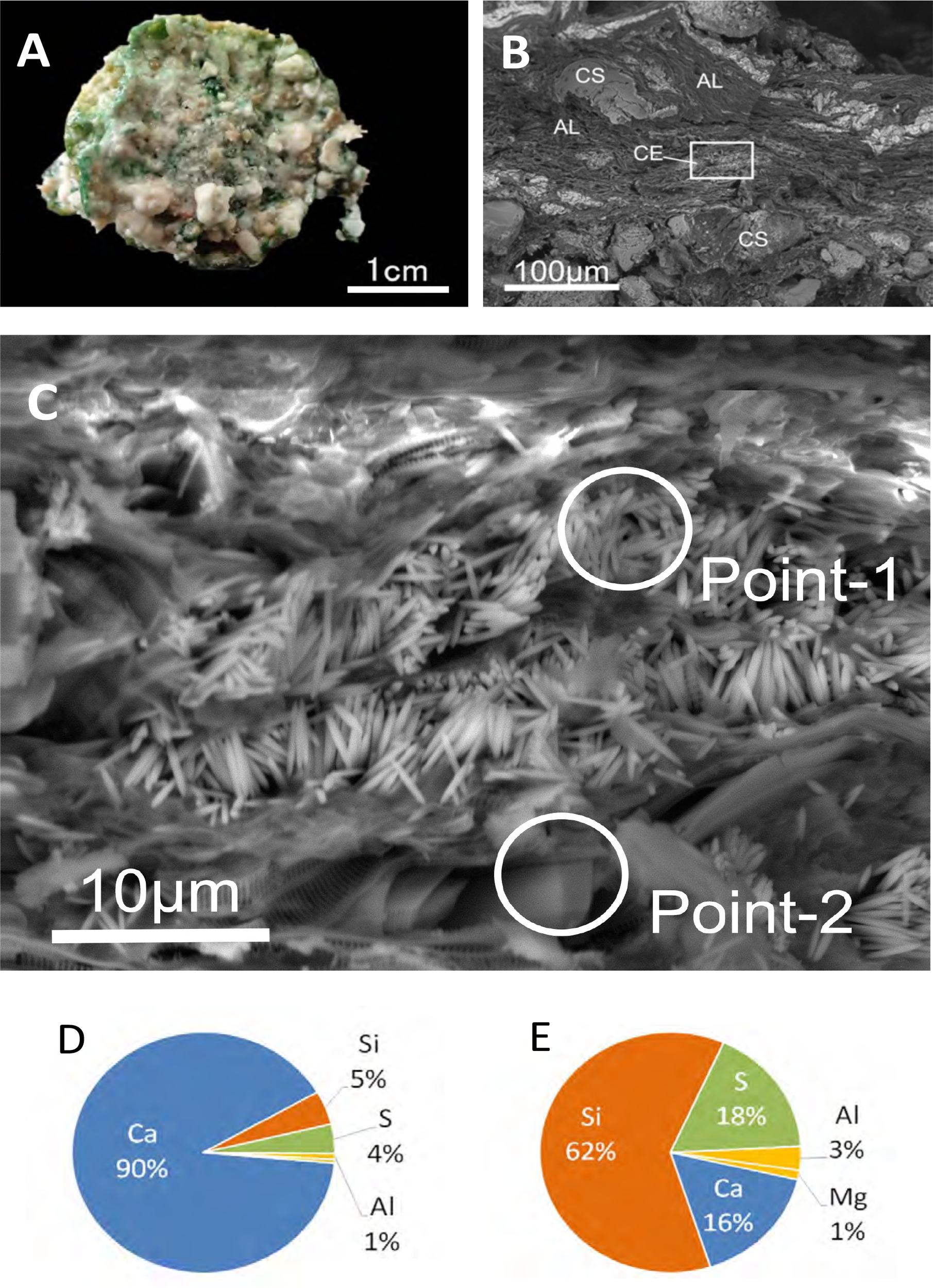 Composite image showing: A) Cross-section of a mortar specimen, scale 1 cm. B) Scanning electron microscope (SEM) image of the specimen highlighting structures labeled CS, AL, and CE, scale 100 micrometers. C) Closer SEM view with marked points, indicating areas of interest, scale 10 micrometers. D) Pie chart showing concentration percentages at Point-1: Calcium (Ca) 90%, Silicon (Si) 5%, Sulfur (S) 4%, Aluminum (Al) 1%. E) Pie chart showing concentration percentages at Point-2: Silicon (Si) 62%, Sulfur (S) 18%, Calcium (Ca) 16%, Aluminum (Al) 3%, Magnesium (Mg) 1%.