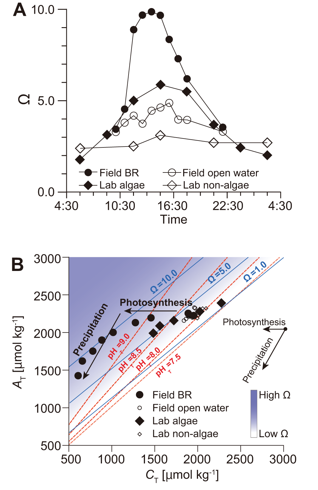 A two-part data visualization: A) Line graph showing time versus Omega (Ω) levels, with different symbols for four conditions: Field BR, Field open water, Lab algae, and Lab non-algae. Field BR and Lab algae have higher peaks. B) Scatter plot of AT versus CT. Data points are grouped by field and lab conditions. The graph includes lines of constant Ω and pH, with a color gradient indicating higher and lower Ω values. Arrows show directions for photosynthesis and precipitation.
