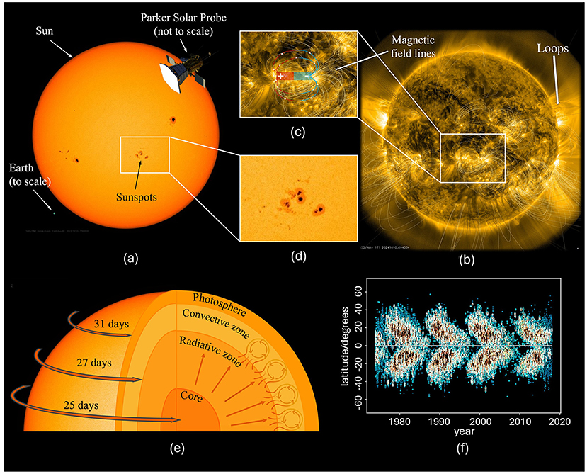 Diagram illustrating various aspects of the Sun. (a) Shows the Sun with Earth to scale, highlighting sunspots. (b) Displays the Sun's magnetic field lines and loops. (c) Close-up of magnetic activity. (d) Zoomed-in view of sunspots. (e) Cross-section of the Sun, showing different layers and rotation periods: core, radiative zone, convective zone, and photosphere. (f) Graph of solar activity from 1980 to 2020, depicting latitude changes over time. Parker Solar Probe is also shown in (a).