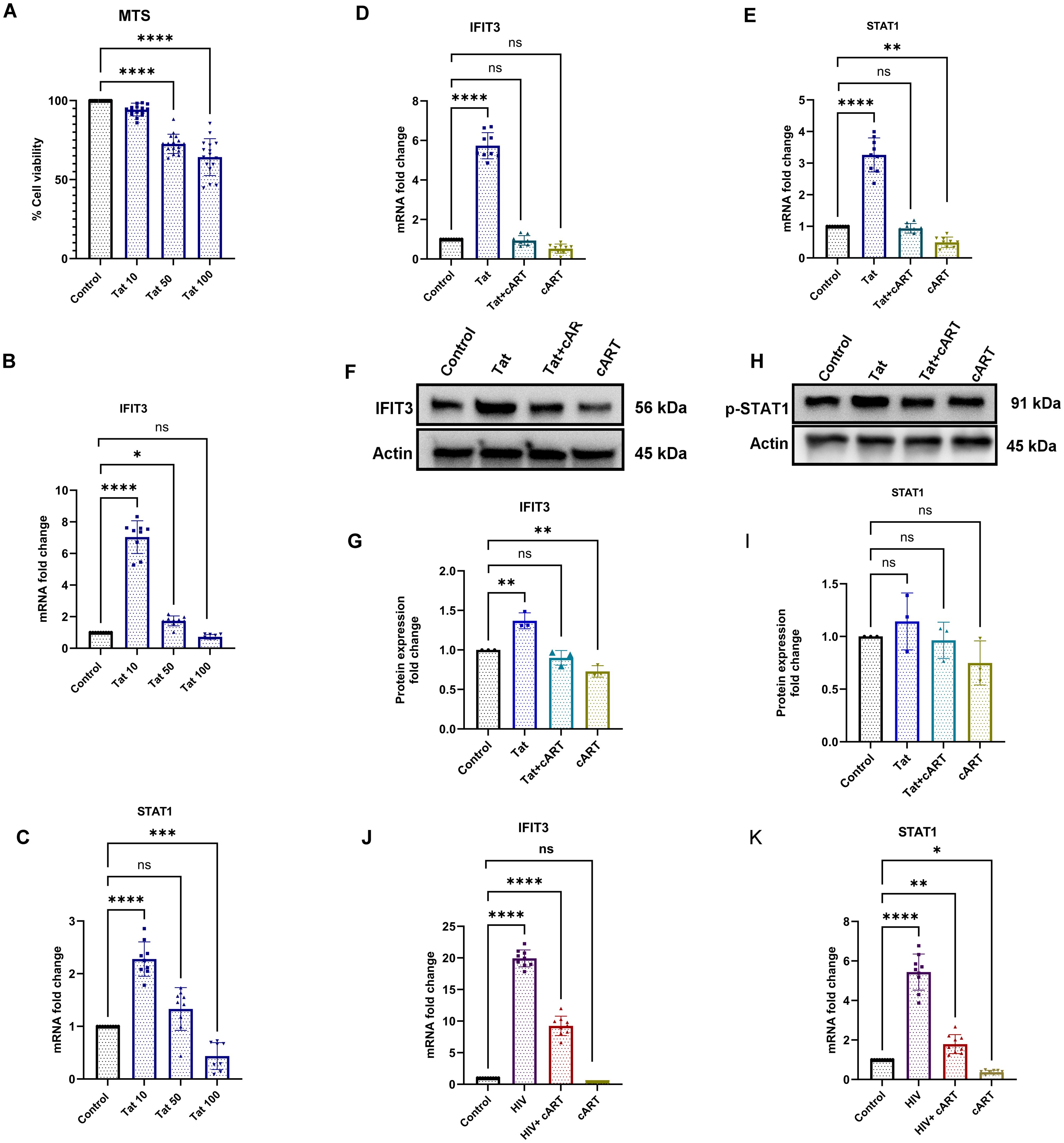 Bar charts, protein bands, and statistical comparisons analyze cell viability, mRNA, and protein expression levels in various conditions, labeled A to K: MTS assay (A), IFIT3 and STAT1 mRNA (B-E, J-K), protein bands (F-H), and expression fold changes (G-I). Statistical significance is indicated by asterisks, and comparisons involve control, Tat, cART, and WHV-cART conditions.