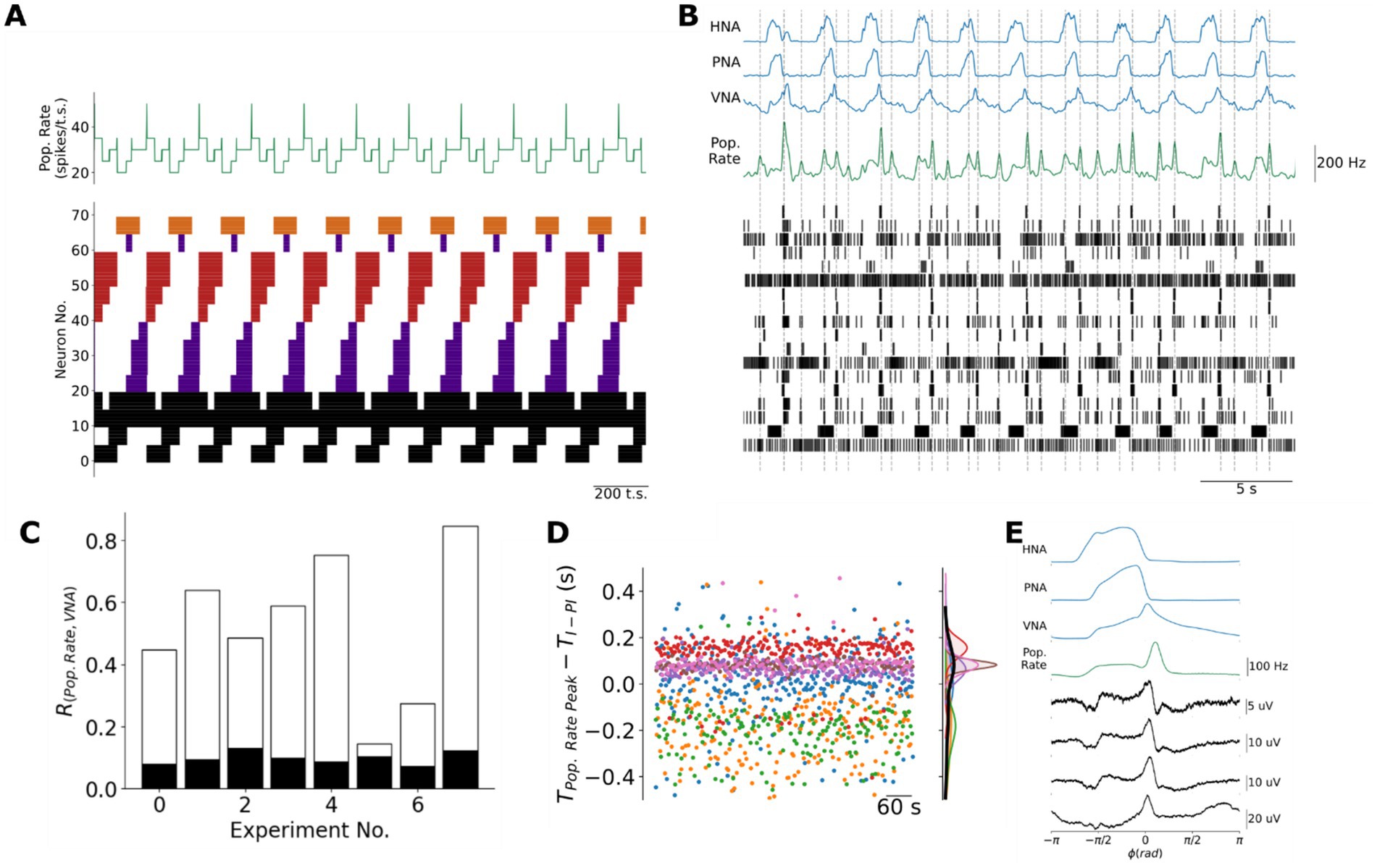 A multi-panel scientific figure with five sections:A) A graph showing population rate in spikes per second and neuron number over time, with color-coded bars.B) Waveforms labeled HNA, PNA, VNA, and a population rate graph over 5 seconds, along with a raster plot.C) A bar graph depicting R(Pop. Rate: VNA) across various experiments.D) A scatter plot illustrating the timing of population rate peaks with a distribution curve.E) Waveforms of HNA, PNA, VNA, and population rate with frequency and voltage scales, alongside angular waveforms.Each section presents data related to neural activity analysis.