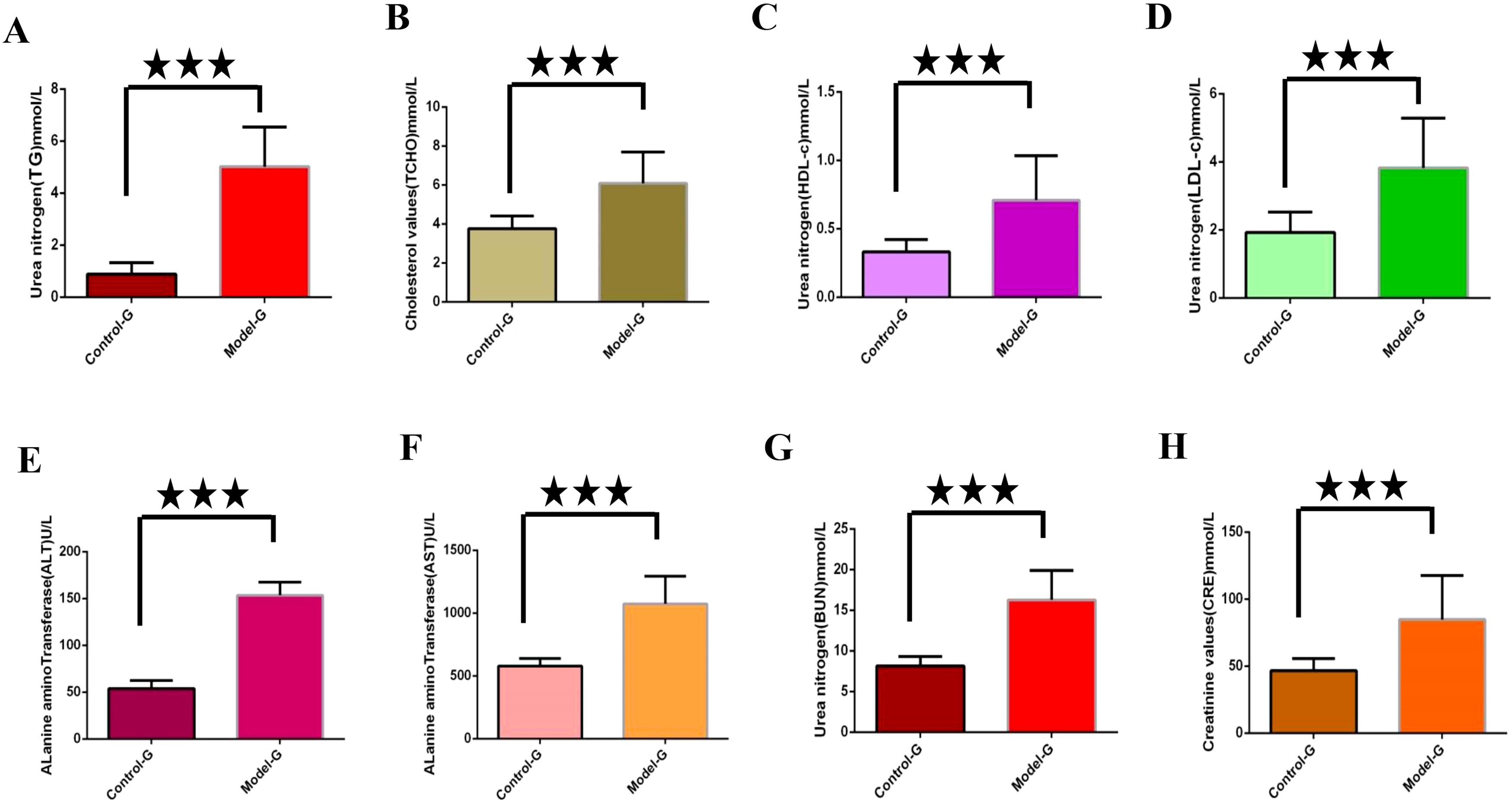 Bar graphs labeled A to H compare various blood and liver parameters between Control-G and Model-G groups. Significant differences, indicated by three stars, show Model-G having higher values across all parameters. Metrics include urea nitrogen, cholesterol, alanine aminotransferase, aspartate aminotransferase, and creatinine levels, all measured in appropriate units.