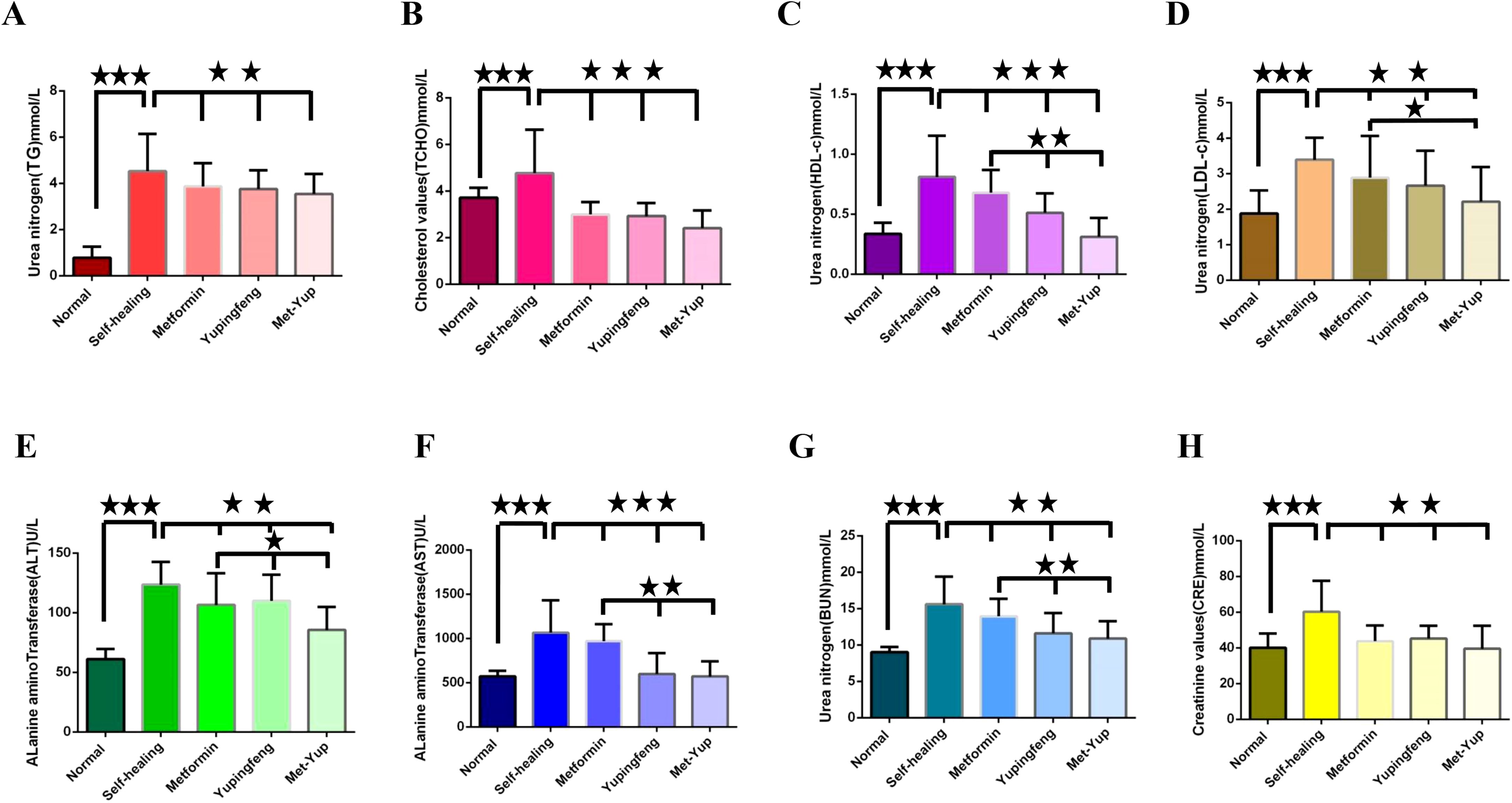 Graphs A to H illustrate biochemical markers in various treatment groups: Normal, Self-healing, Metformin, Yupingfeng, and Met-Yup. Each bar graph shows different parameters: urea nitrogen, cholesterol, HDL, LDL, ALT, AST, BUN, and creatinine. Significant differences are marked with stars above the bars.