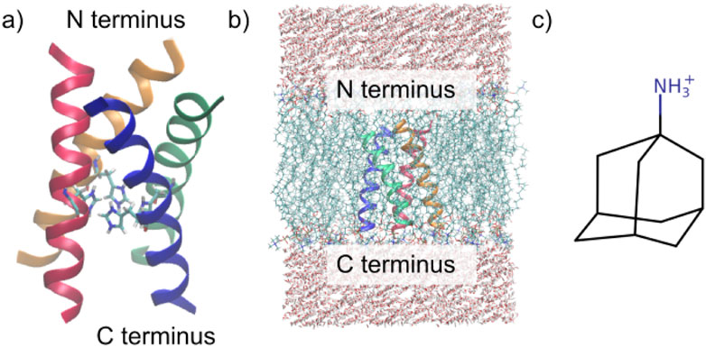 Diagram with three parts: a) Ribbon structure of a protein with N and C termini labeled, showing helices in different colors. b) Protein embedded in a membrane with labeled N and C termini, surrounded by water on top and at the bottom. c) Chemical structure featuring a bicyclic compound with an ammonium group labeled as NH3+.
