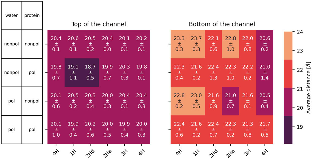 Heatmaps of the distance between C alpha of the four helices at the top (left) and bottom (right). The colors indicate that the top of the channel is not affected by the non-polarizable or polarizable force fields. The bottom of the ion channel is not affected, if the water has a polarizable or non-polarizable force field.