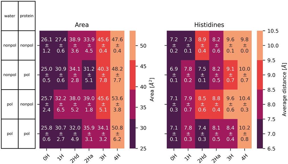 The heatmaps show the area (left) and the distance between diagonal nitrogens of histidine at the bottleneck of the channel as a function of the protonation state. Increasing the protonation state leads to larger areas and distances. This seems to be less affected by the force fields.