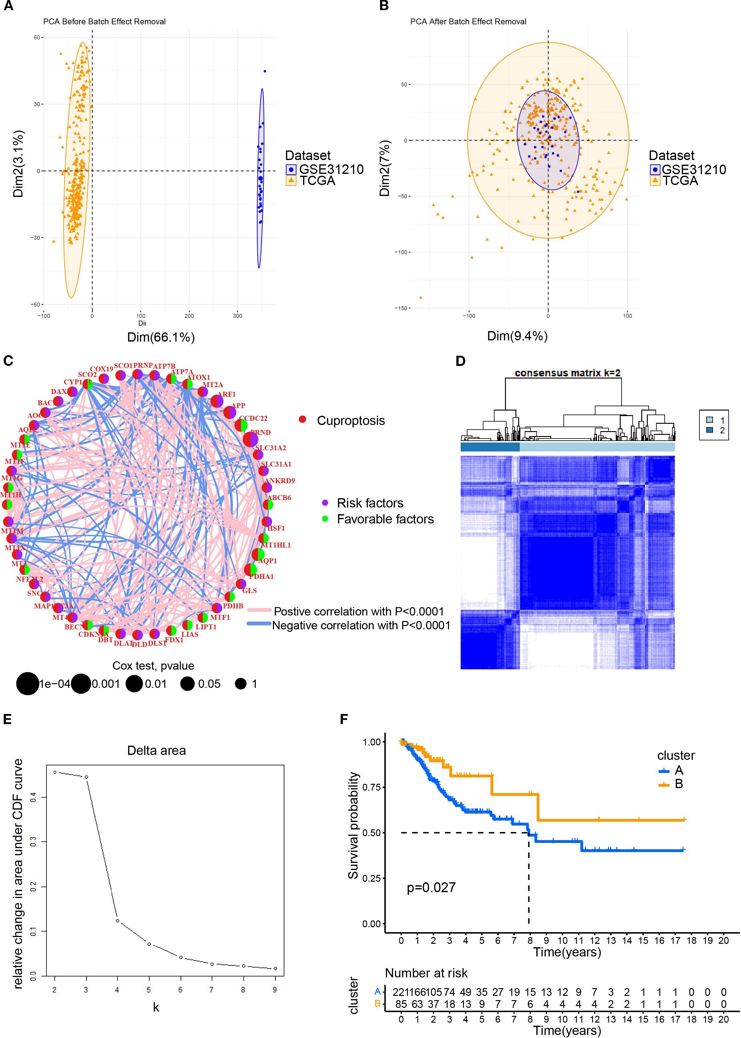 The composite image presents various analyses related to cancer datasets. Panel A shows a PCA plot before batch effect removal, highlighting differences between two datasets, GSE31210 and TCGA. Panel B displays PCA after batch effect removal, showing better clustering. Panel C illustrates a network of genes linked to cuproptosis, with correlation directions and p-values. Panel D presents a consensus matrix for two clusters detected. Panel E depicts changes in delta area under CDF for varying cluster numbers. Panel F shows a Kaplan-Meier survival plot for two clusters, with a p-value of 0.027 indicating statistical significance.