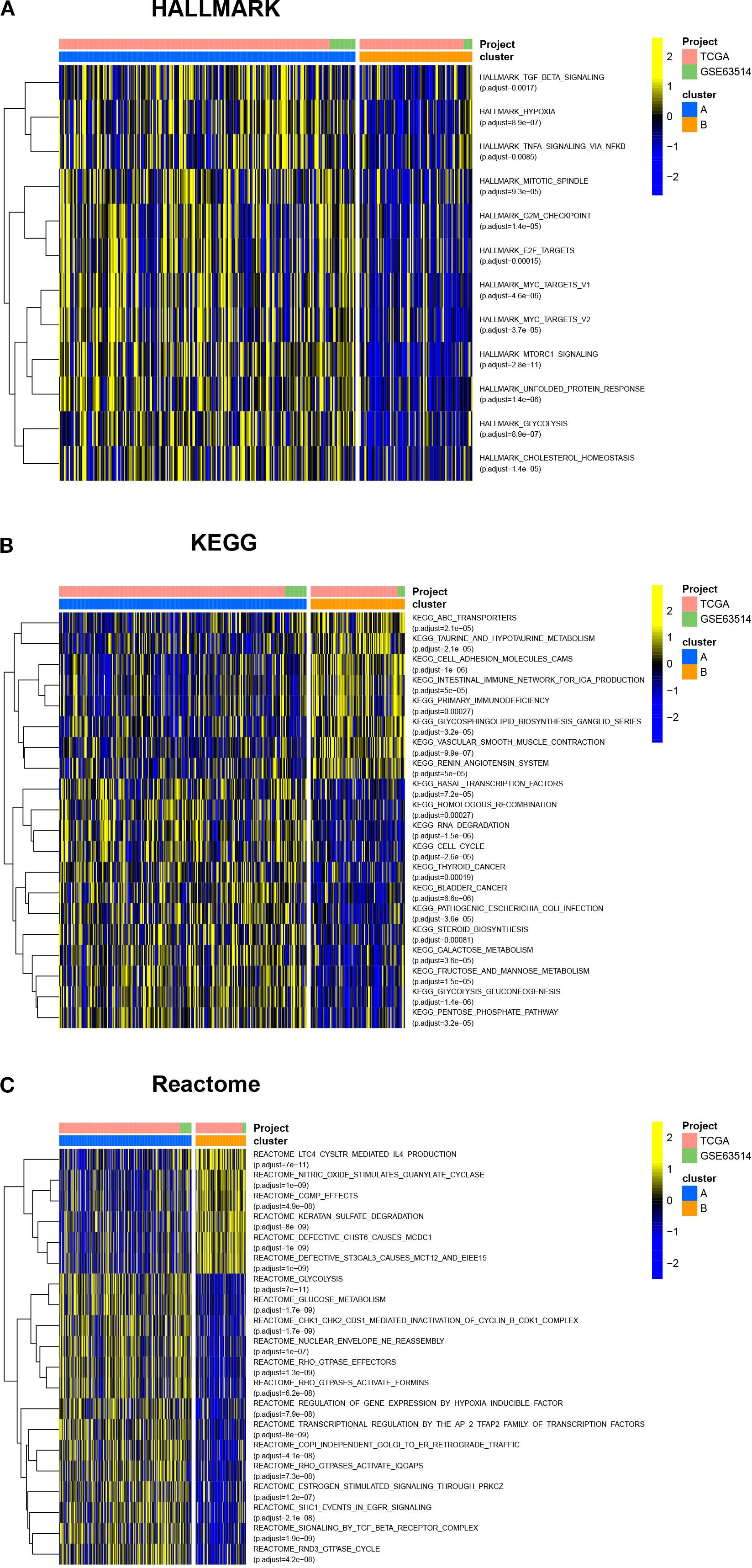 Clustered heatmap visualization comparing gene expression data across three panels: Hallmark, KEGG, and Reactome pathways. Each panel shows a heatmap with a color spectrum from blue to yellow, indicating values from -2 to 2. Dendrograms indicate clustering of samples, with annotations for project (TCGA, GSE63514) and cluster categories (A, B). Pathway names with associated adjusted p-values are listed next to each heatmap.
