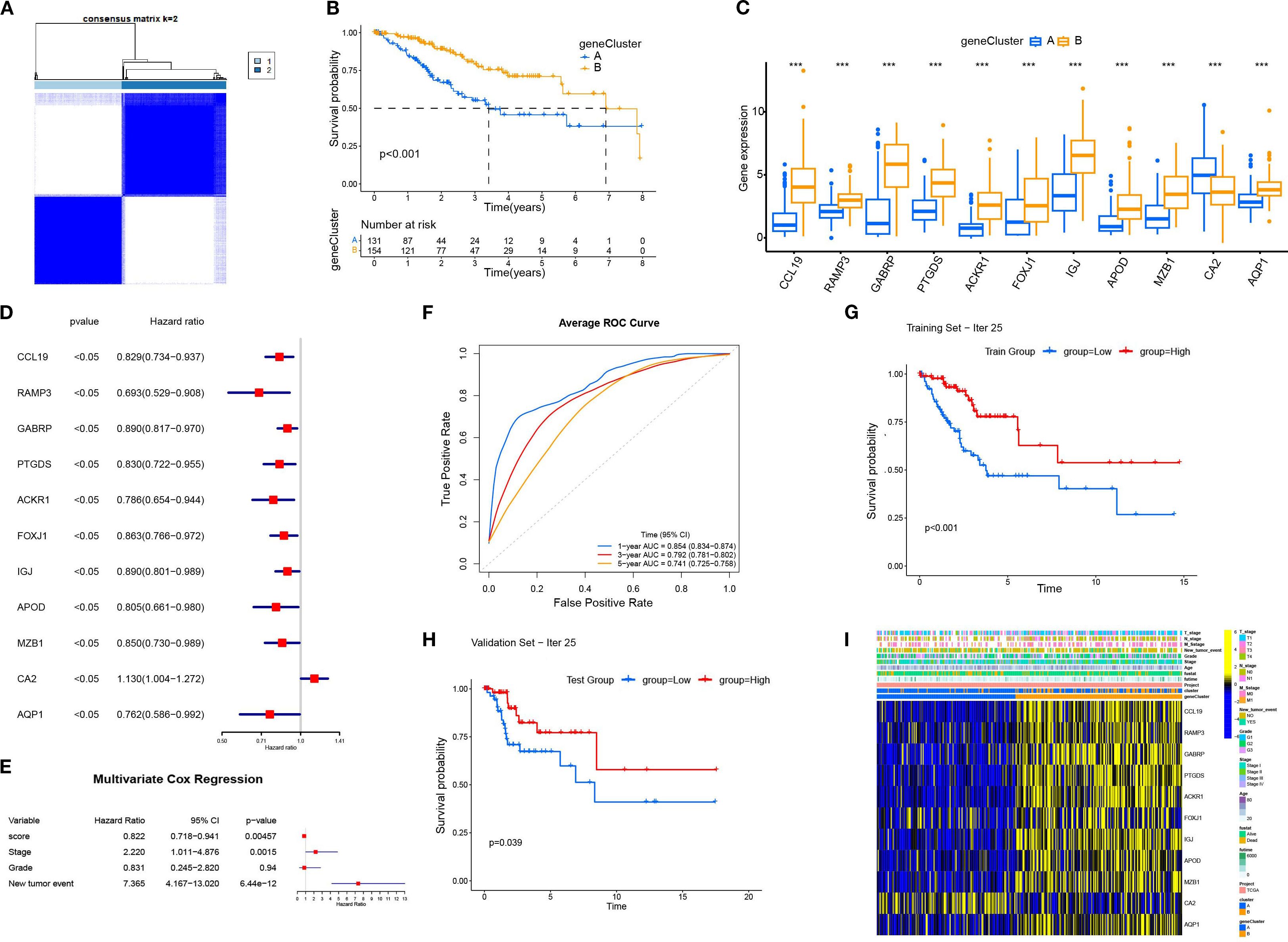 Composite image showing various data visualizations. Panel A: Consensus matrix heatmap for k equals 2. Panel B: Kaplan-Meier survival curves for gene clusters A and B; significant difference noted. Panel C: Box plots showing gene expression differences between clusters for multiple genes. Panel D: Forest plot presenting hazard ratios and p-values for specific genes. Panel E: Multivariate Cox regression results. Panel F: Average ROC curve with AUC values for one, three, and five years. Panel G: Survival curves in training set showing low versus high groups. Panel H: Survival curves in validation set indicating group differences. Panel I: Heatmap of gene expression and clinical data annotations.