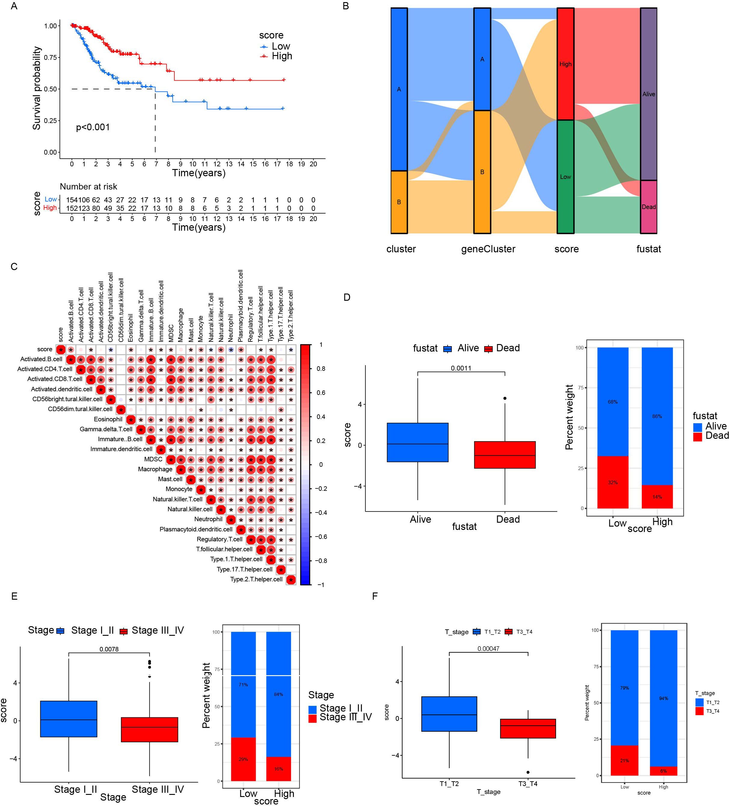 Graphical abstract visualizing cancer patient survival data. Panel A shows a Kaplan-Meier survival curve with high and low score lines, indicating significant survival differences (p<0.001). Panel B displays a Sankey diagram illustrating relationships between clusters, gene clusters, scores, and fustat status (Alive or Dead). Panel C presents a correlation matrix for immune cell types and scores. Panel D features box plots and stacked bar charts comparing scores for Alive and Dead fustat groups. Panel E includes box plots and bar charts comparing scores across cancer stages I-II and III-IV. Panel F presents box plots and bar charts comparing scores between stage T1-2 and stage T3-4 cancers.