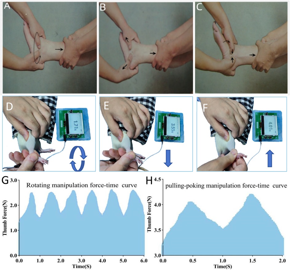 Panel A shows a hand rotating a rodent's limb with curved arrows indicating a circular motion and a straight arrow indicating force direction. Panel B illustrates a pulling motion on the rodent’s limb with straight arrows showing outward force. Panel C depicts a poking motion with arrows indicating pressing points along the limb. Panels D to F show force measurement setups with a rodent held in a cloth sleeve while a device records thumb force during rotation (D), pulling (E), and poking (F) manipulations, each marked by blue directional arrows. Panels G and H present force-time curves showing thumb force fluctuations over time for rotational and pulling-poking manipulations respectively.