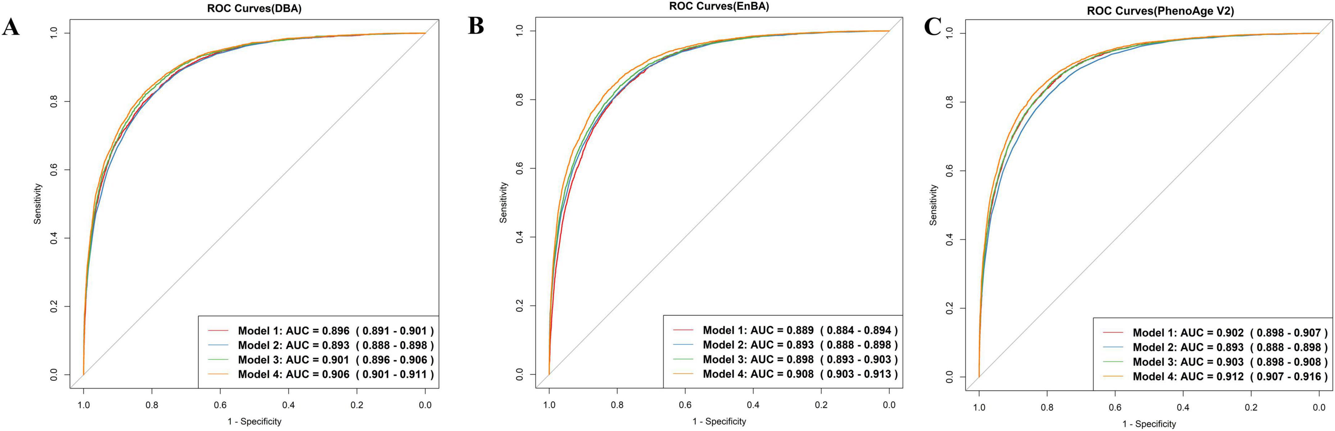 Three side-by-side Receiver Operating Characteristic (ROC) curve graphs labeled A, B, and C compare four models. Each graph shows sensitivity versus 1-specificity with colored lines representing each model. Graph A (DBA) features AUC values from 0.896 to 0.906, Graph B (EnBa) has AUC values from 0.889 to 0.906, and Graph C (PhenoAge V2) shows AUC values from 0.902 to 0.912.