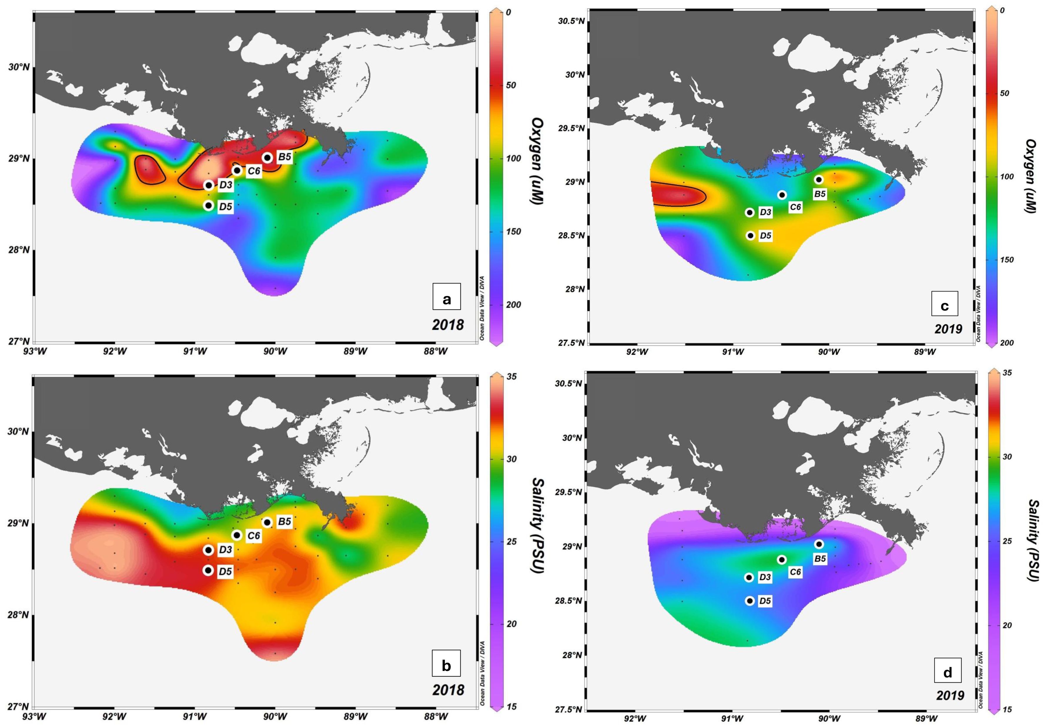 Four maps display oceanic data from 2018 and 2019, showing variations in oxygen and salinity levels in the Gulf of Mexico. The top maps are from 2018; the left depicts oxygen concentration in colors ranging from red (low) to blue (high), and the right shows salinity with similar color gradation. The lower maps, from 2019, follow the same pattern, with noticeable shifts in spread and intensity. Each map has marked locations labeled B5, C6, D3, and D5.