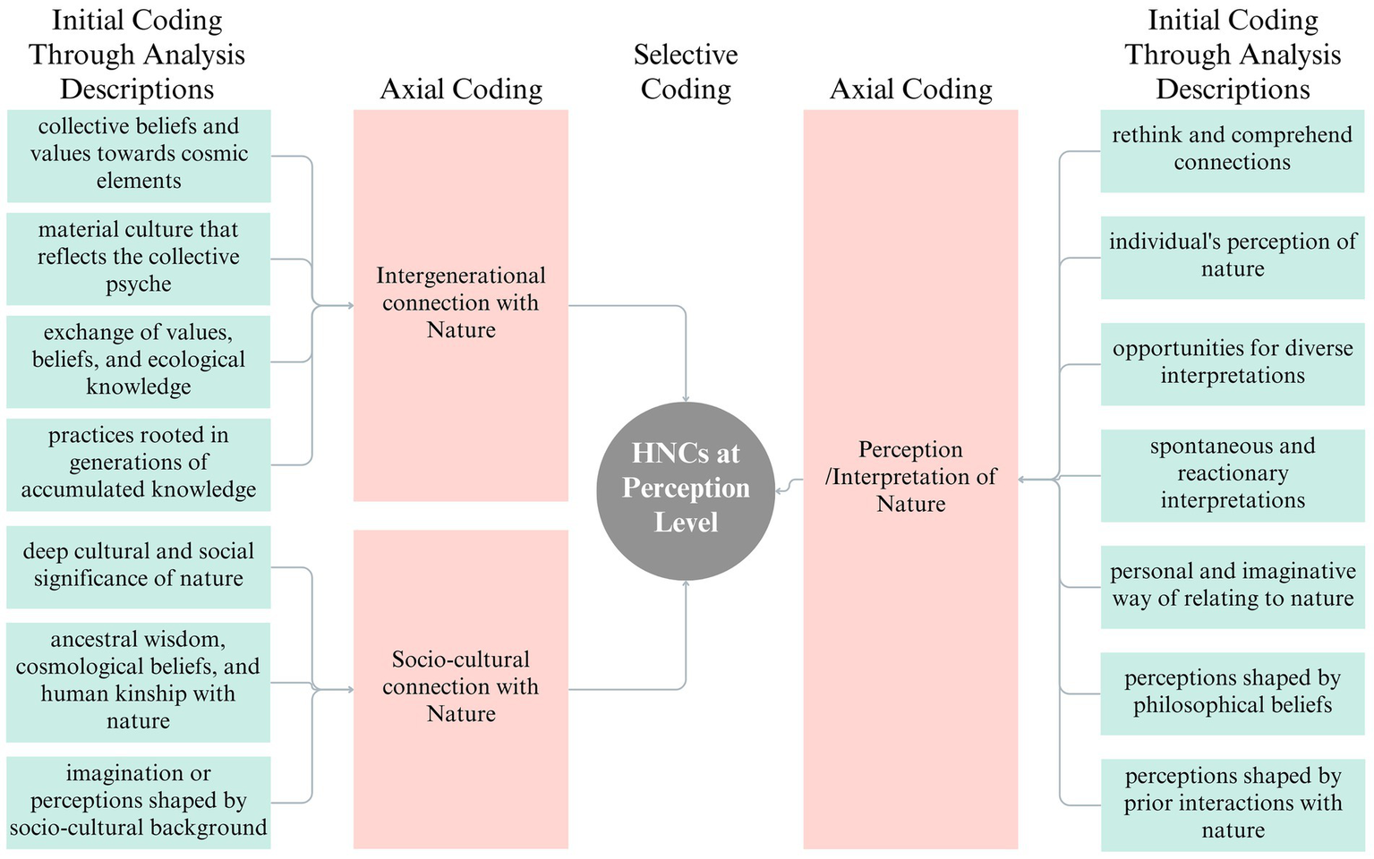 The flowchart illustrates the coding process from initial coding to selective coding. On the left, initial codes such as collective beliefs, cultural practices, ecological knowledge, and socio-cultural background feed into the axial coding category of intergenerational and socio-cultural connections with nature. On the right, initial codes including rethinking connections, individual perceptions, and philosophical beliefs converge into the axial coding category of perceptions and interpretations of nature. Both axial coding categories ultimately integrate to provide the concept of Human–Nature Connections (HNCs) at the perception level.