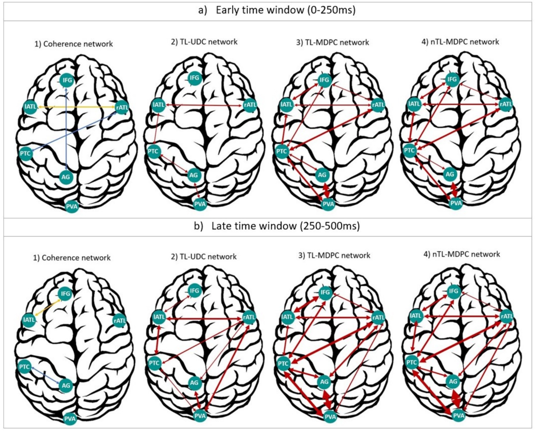 Diagram showing brain connectivity networks during two time windows: early (0-250ms) and late (250-500ms). Each window includes coherence, TL-UDC, TL-MDPC, and nTL-MDPC networks, with arrows indicating connections between regions: IFG, rATL, lATL, PTC, AG, and PVA. Early networks show fewer connections compared to the late networks, which have more prominent and numerous connections, particularly in TL-MDPC and nTL-MDPC networks.
