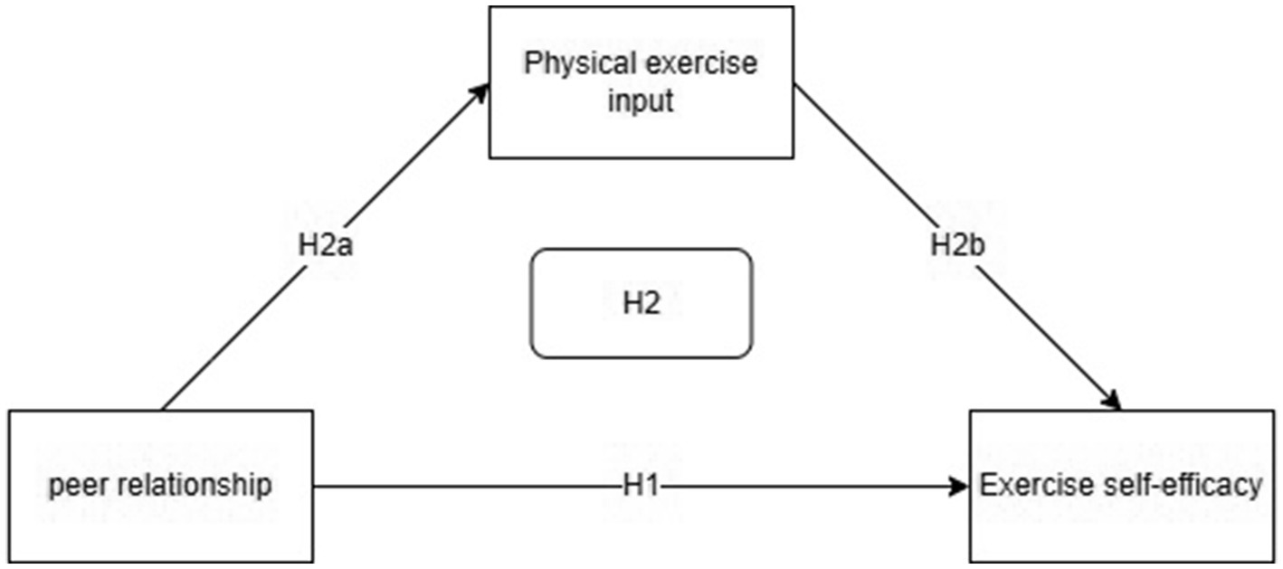 Flowchart showing relationships between concepts. "Peer relationship" connects directly to "Exercise self-efficacy" with "H1" and indirectly through "Physical exercise input" with "H2a" and "H2b." "H2" is centered.