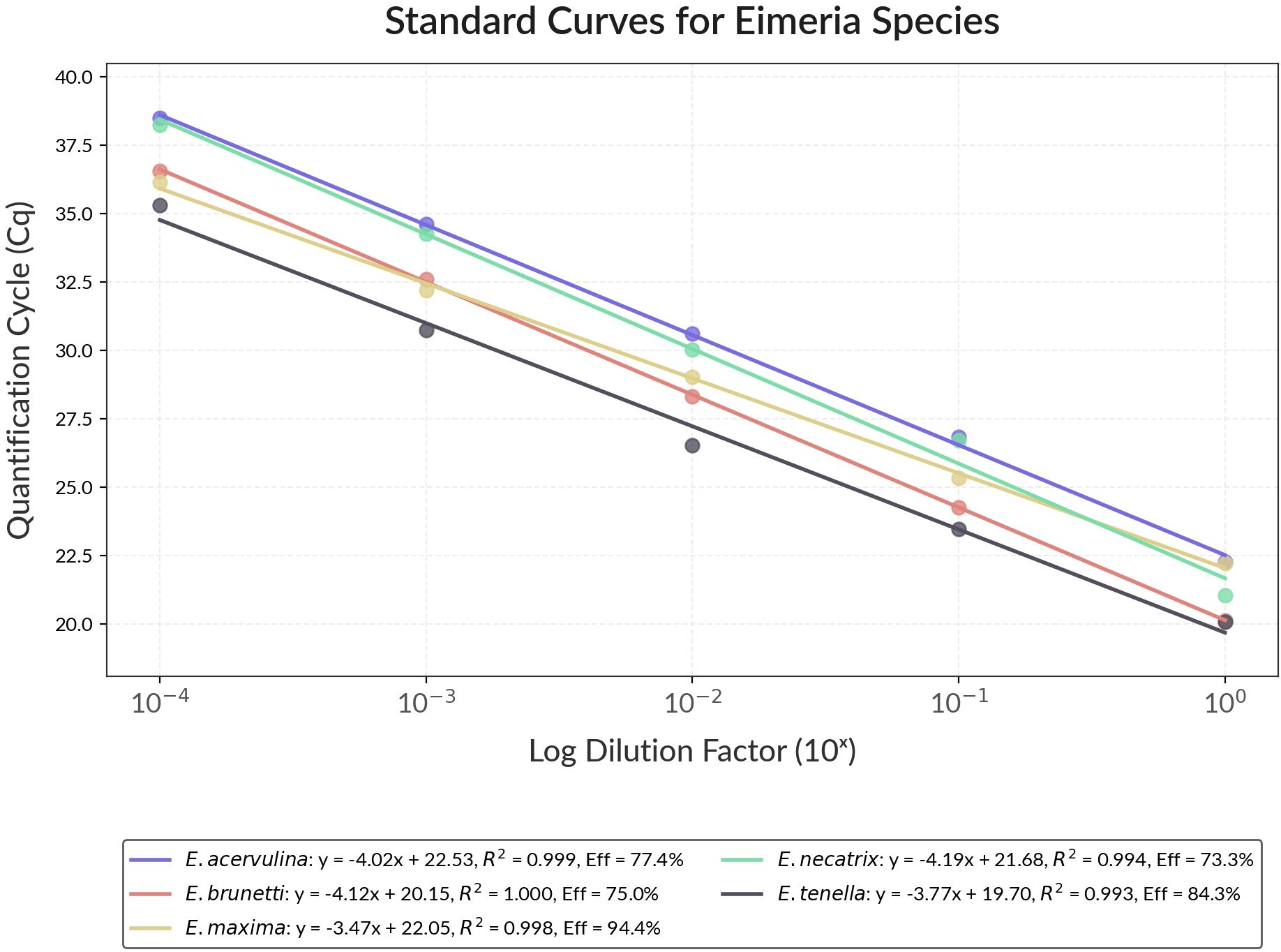 Graph showing standard curves for Eimeria species with quantification cycle (Cq) on the vertical axis and log dilution factor on the horizontal axis. It includes five colored trend lines for E. acervulina, E. brunetti, E. maxima, E. necatrix, and E. tenella, each with specific equations, R-squared values, and efficiency percentages in the legend.