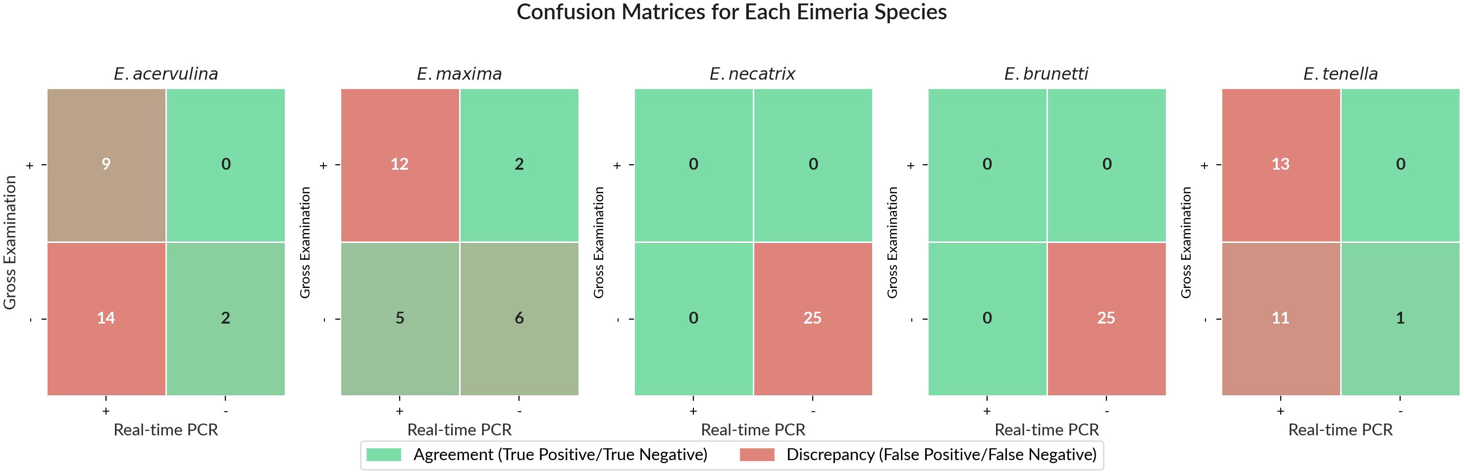 Confusion matrices for four Eimeria species. Each matrix compares cross-examination and real-time PCR results, with cells indicating true positives, true negatives, false positives, and false negatives. Green denotes agreement (true positive/true negative), and red denotes discrepancy (false positive/false negative). Each species—E. acervulina, E. maxima, E. necatrix, E. brunetti, and E. tenella—features different counts reflecting diagnostic outcomes.