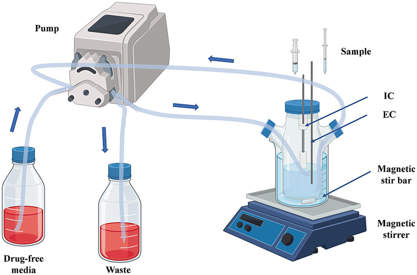 The tubing from the bottle labeled "Drug-free media" is connected via a pump to the three-neck flask (including both IC and EC). Another tube leads from the three-neck flask through a pump to the bottle labeled "Waste". The three-neck flask is placed on a magnetic stirrer.