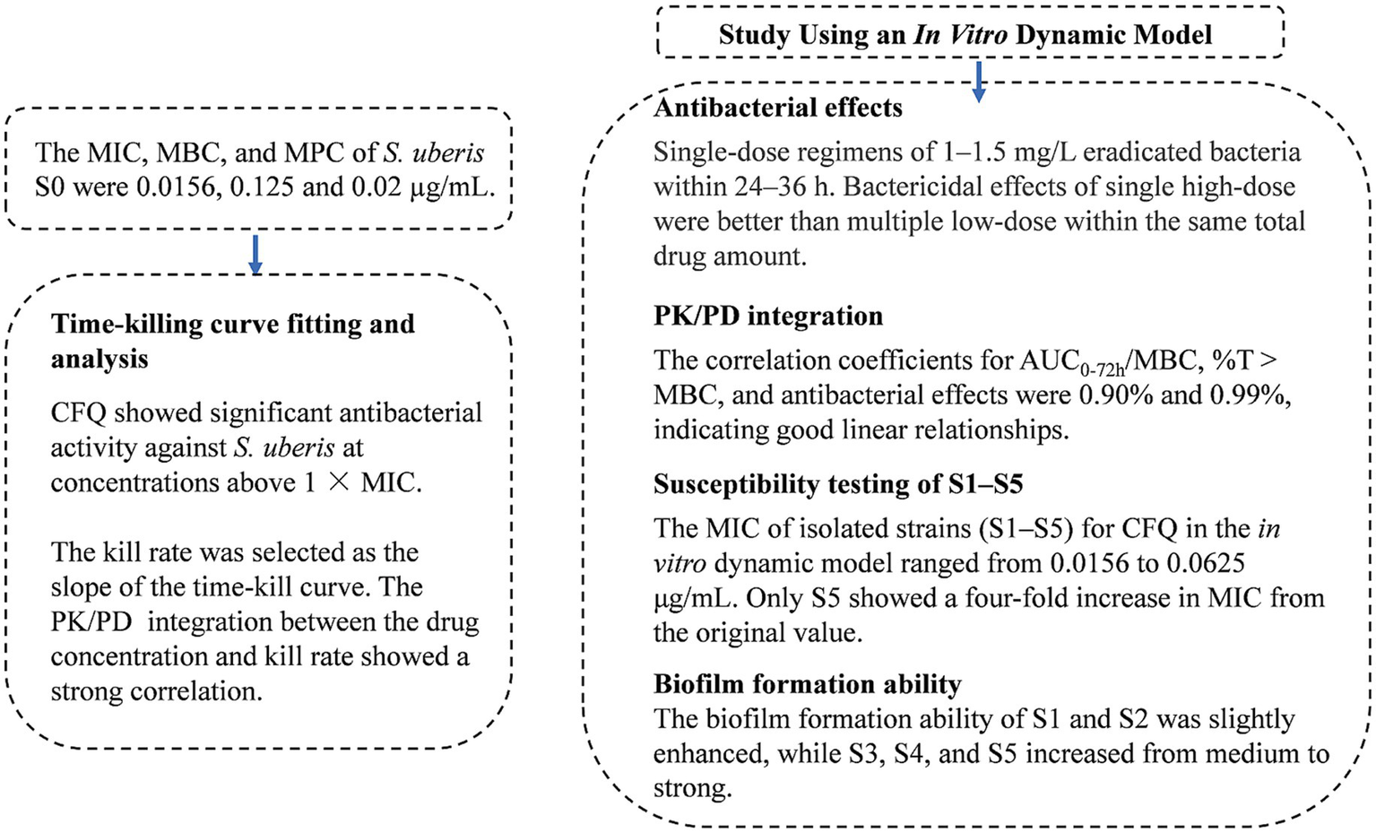 Study diagram showing antibacterial activity of CFQ against S. uberis. MIC, MBC, and MPC values are given. Time-killing curve fitting indicates significant activity above 1× MIC. Single-dose regimens of 1–1.5 mg/L were more effective than multiple low-dose regimens. PK/PD integration shows strong correlation, and susceptibility testing for strains S1–S5 reveals MIC changes. Biofilm formation ability increased in S1–S5, with variations in intensity.