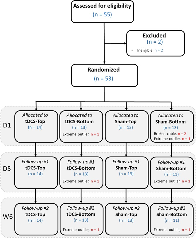 Flowchart showing participant allocation in a randomized study of 55 assessed individuals, with 2 excluded due to ineligibility. Of the 53 randomized participants, 14 were assigned to tDCS-Top, 13 to tDCS-Bottom, 13 to Sham-Top, and 13 to Sham-Bottom. Attrition details include one extreme outlier from tDCS-Bottom, two broken cables and one outlier in Sham-Bottom. All groups maintained their numbers through Day 5 and Week 6 follow-ups except Sham-Bottom, which retained 11 participants. Outliers were consistently noted in tDCS-Bottom and Sham-Bottom groups.