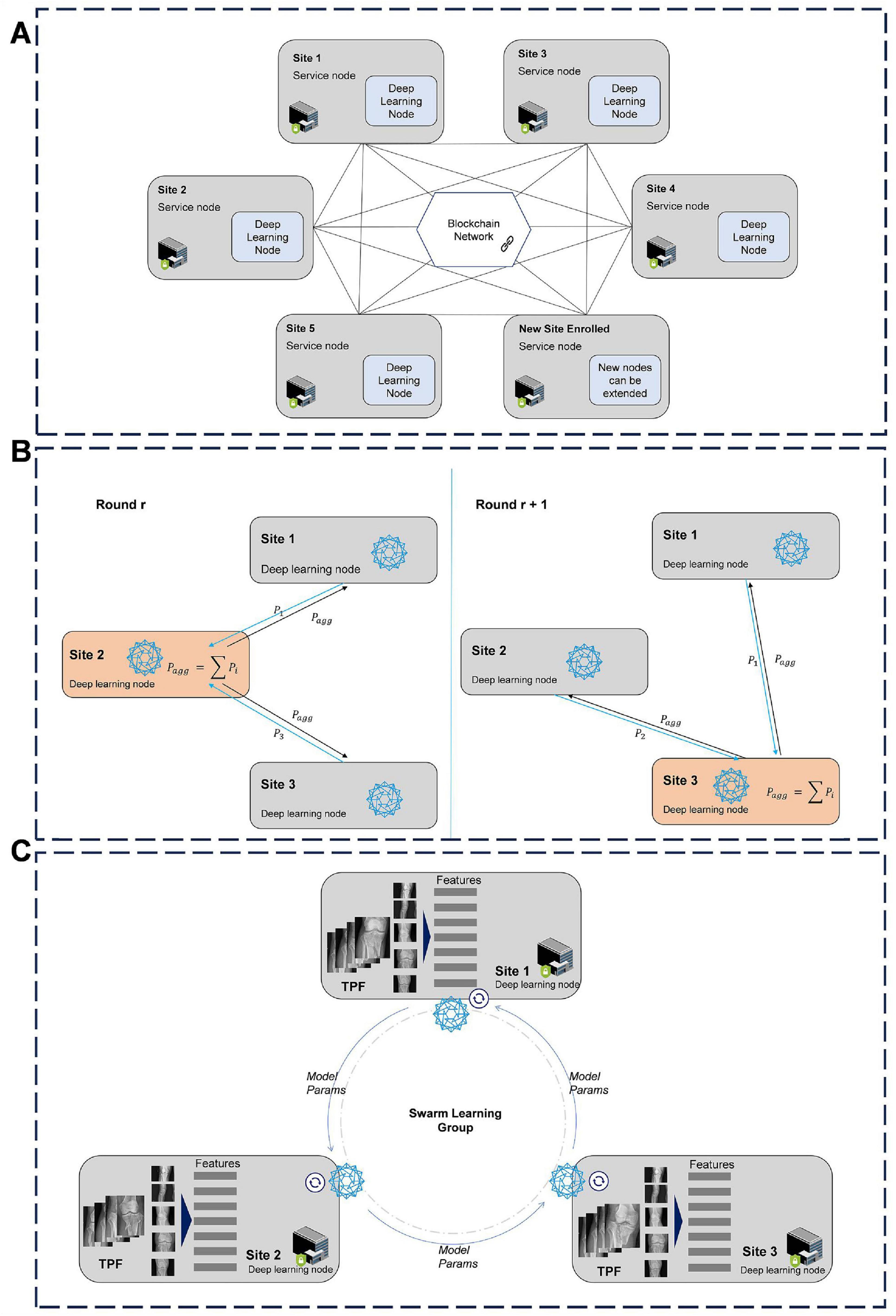 Diagram illustrating swarm learning architecture in three parts: A) Multiple service nodes with deep learning nodes connect to a blockchain network. B) Diagram of rounds where each site updates and aggregates learning parameters. C) Swarm Learning Group with sites sharing transformed features and model parameters circularly for collaborative learning.