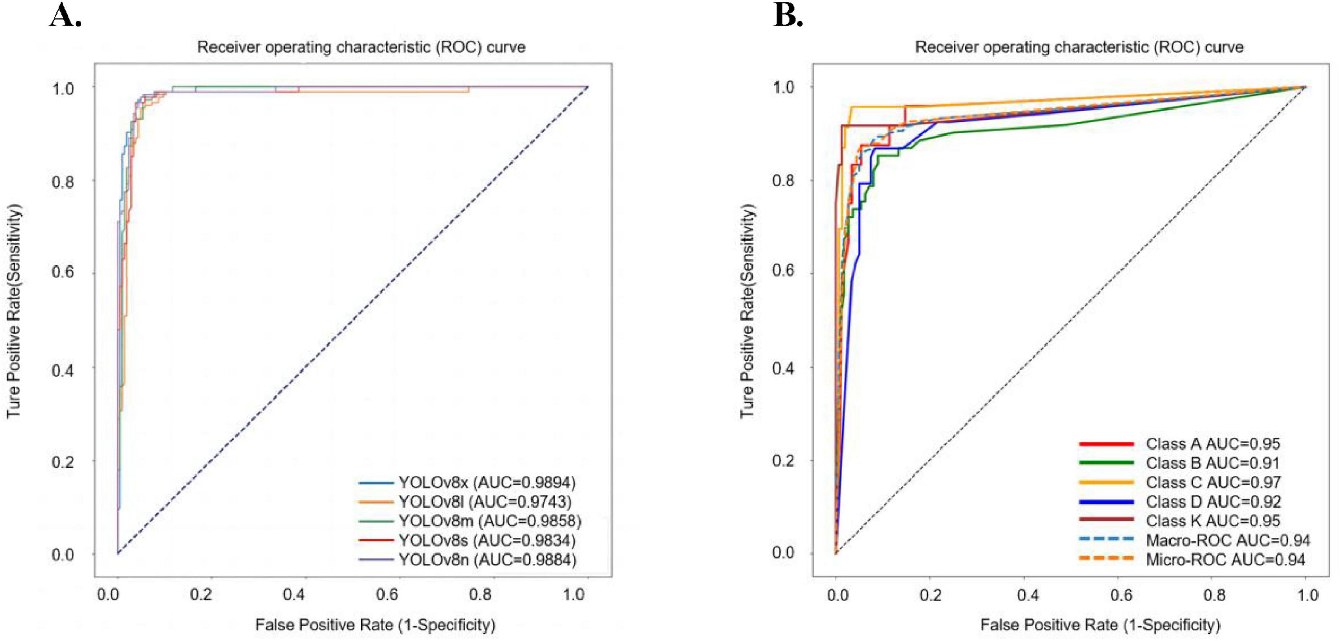 Panel A shows a Receiver Operating Characteristic (ROC) curve comparing YOLO model variants. YOLOv8x achieves the highest Area Under Curve (AUC) at 0.9894, followed by other variants with slightly lower AUCs. Panel B presents a ROC curve for different classes, with Class C achieving the highest AUC of 0.97. Macro and Micro ROC AUCs are both 0.94. Both panels illustrate model performance with true positive versus false positive rates.