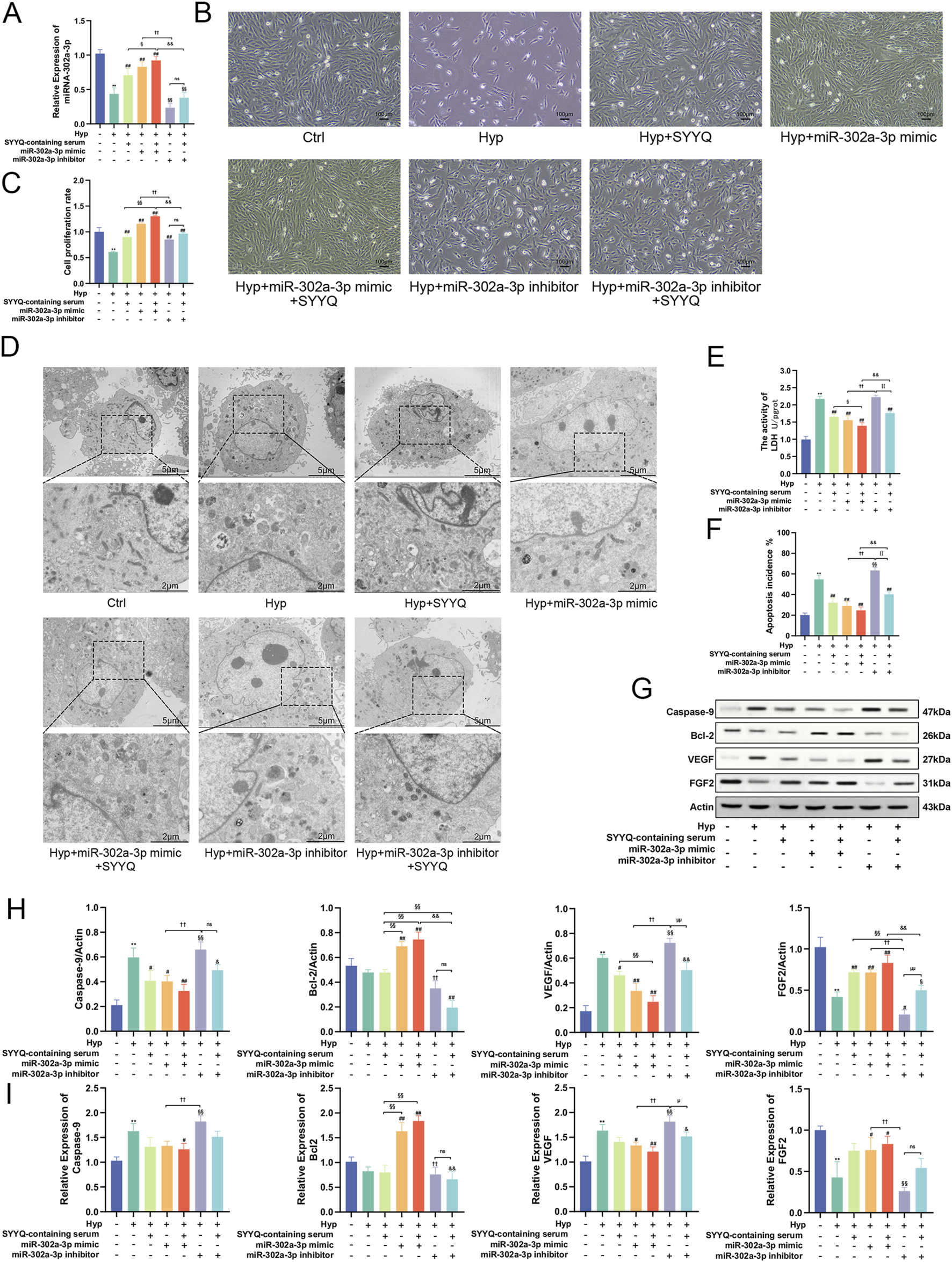 Graphs and microscopy images analyze the effects of various treatments on cells. - A and C: Bar graphs showing relative tube length and cell migration rates under different conditions with statistical significance indicators.- B: Microscopy images of cells under control, Hyp, different mimic/inhibitor, and SYYQ treatment.- D: Electron microscopy images highlighting cellular ultrastructures under various treatments.- E, F, H, I: Bar graphs representing different protein expressions and relative gene expressions, each with significance markers.- G: Western blot results showing protein band intensities under various experimental conditions.