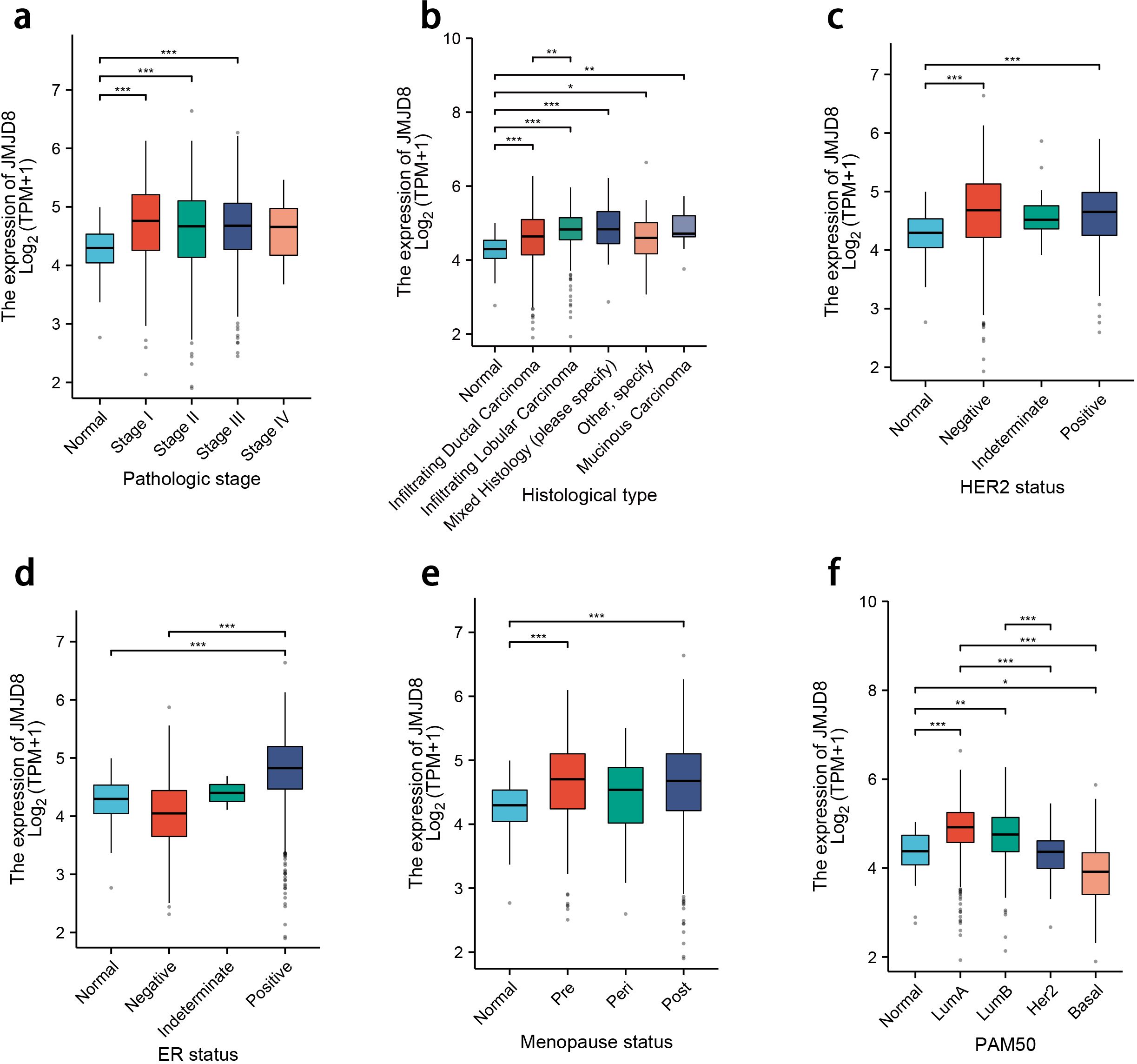 Box plots showing JMU D8 expression across different patient groups: a) Higher expression with advancing pathologic stage. b) Variation in expression across histological types, notably higher in infiltrating ductal carcinoma. c) Higher expression in HER2 positive compared to other statuses. d) Increased expression in ER positive status. e) Menopause status showing variation with higher expression post-menopause. f) PAM50 subtypes, with highest expression in LumB subtype. Significance levels indicated by asterisks.