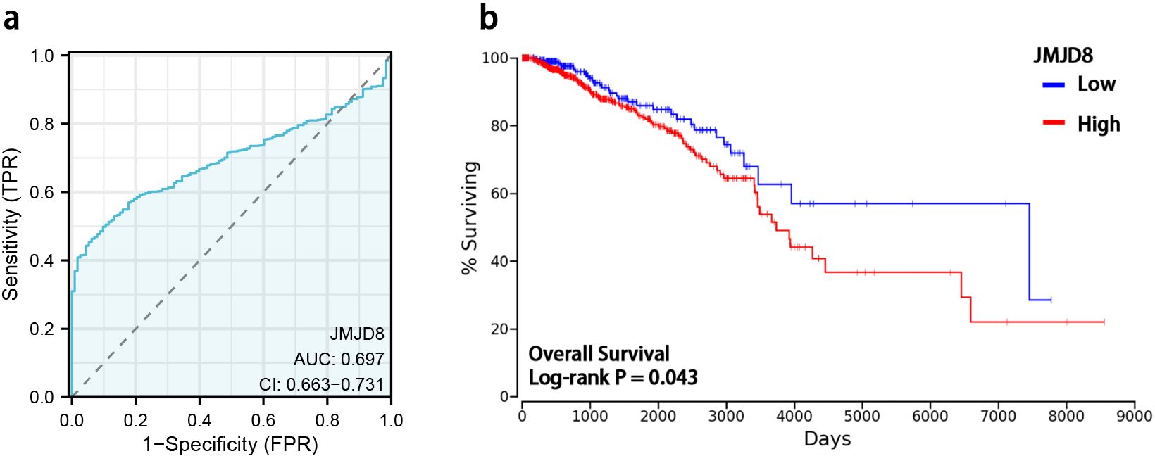 Panel (a) shows a Receiver Operating Characteristic (ROC) curve for JMJD8, with an area under the curve (AUC) of 0.697 and a confidence interval of 0.663 to 0.731. Panel (b) displays a Kaplan-Meier survival curve comparing JMJD8 expression levels (low in blue, high in red), indicating overall survival differences with a log-rank p-value of 0.043 over time in days.