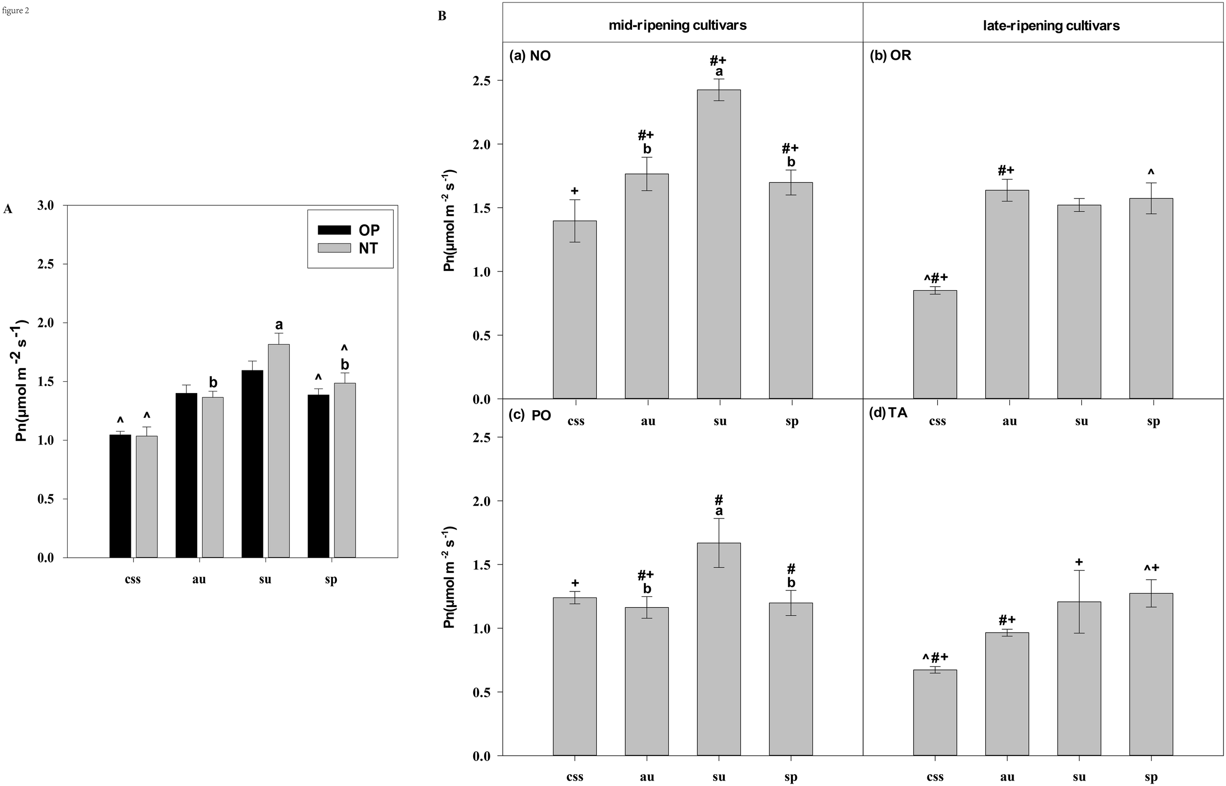 Bar charts comparing photosynthesis rates (Pn) for different cultivars. Chart A shows OP and NT groups for css, au, su, and sp, with NT generally higher. Chart B details mid-ripening (NO, PO) and late-ripening cultivars (OR, TA) with specific values marked by letters and symbols. Axes labeled Pn in micromoles per square meter per second.