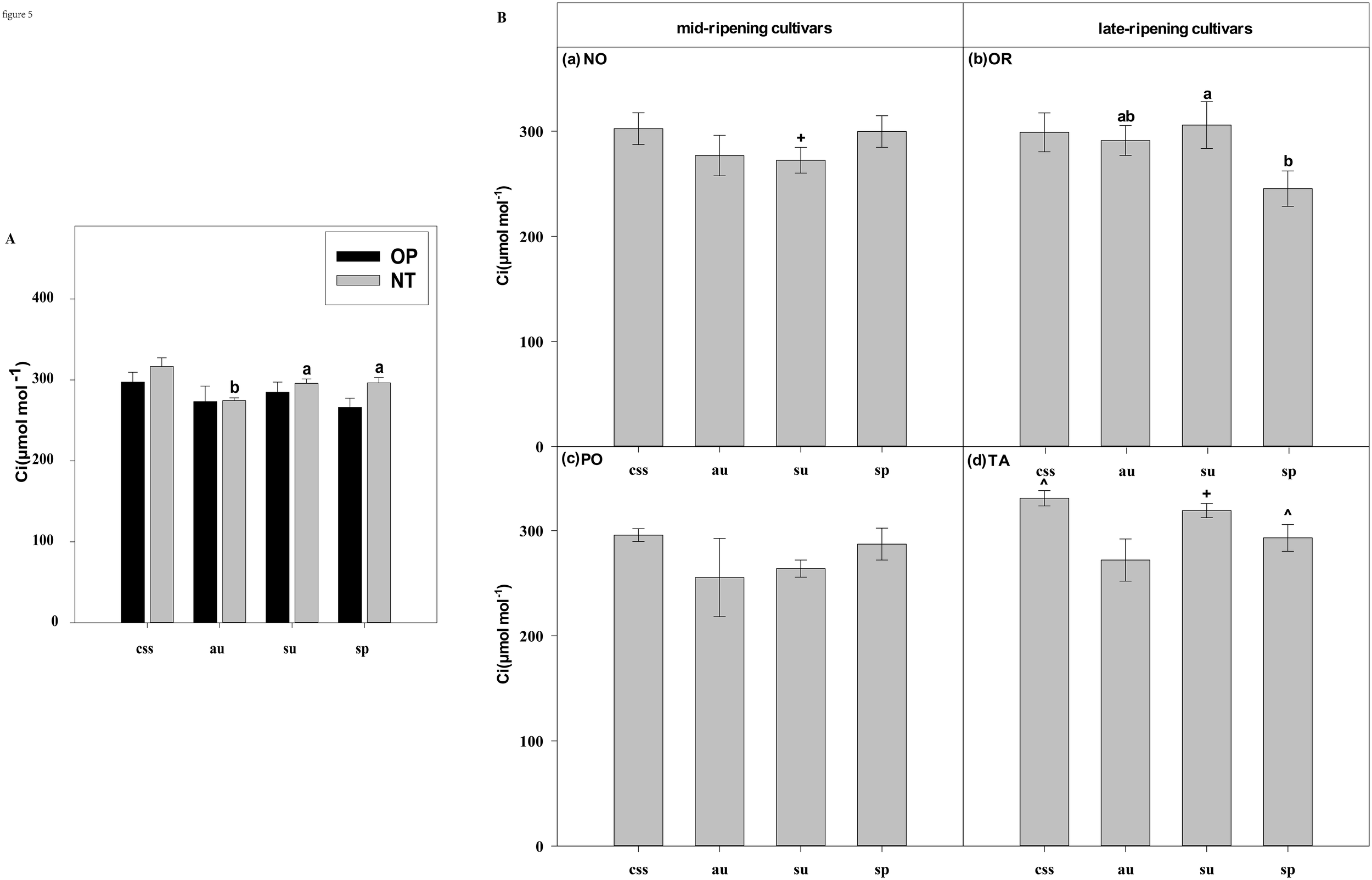 Two panels of bar graphs compare Ci values in μmol/mol for different grapevine cultivars. Panel A shows OP and NT treatments across four conditions (css, au, su, sp) with significant differences labeled 'a' and 'b'. Panel B is divided into mid-ripening and late-ripening cultivars, displaying NO, PO, OR, and TA subcategories with various significant differences indicated by symbols (+, a, ab, b, ^).