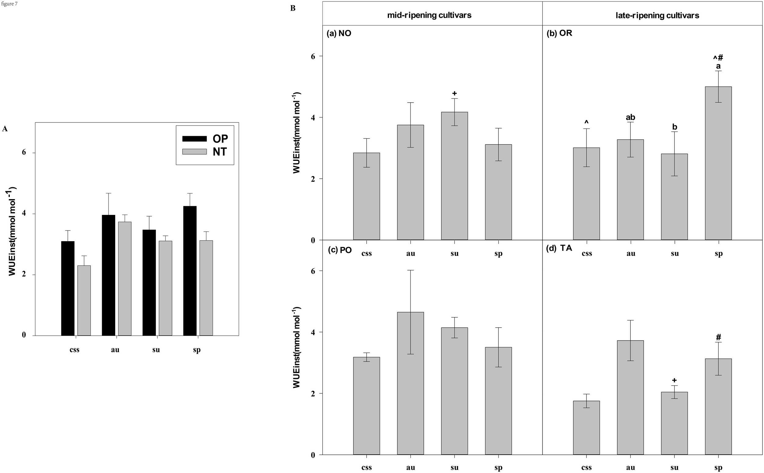Bar charts comparing water use efficiency (WUE) in mid-ripening and late-ripening cultivars. Chart A shows WUE for OP (black) and NT (grey) treatments across css, au, su, and sp. Chart B details WUE by cultivar: NO, OR, PO, and TA. Each plot displays WUEinst with standard error bars for multiple variants within each cultivar group.